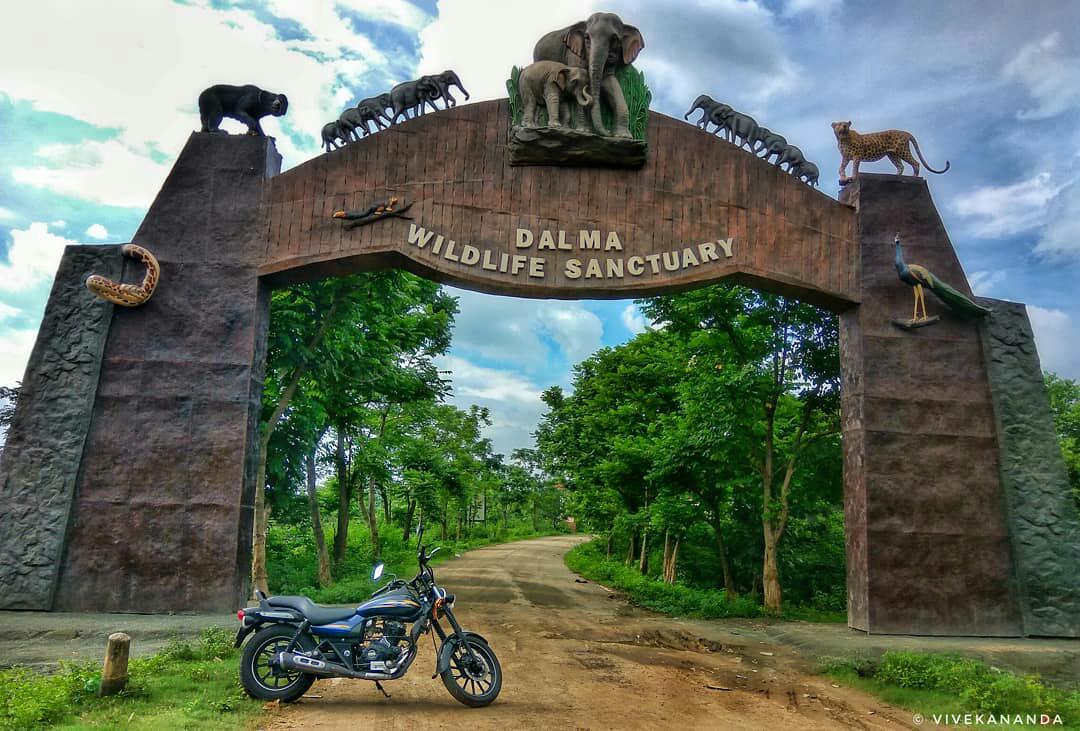 Dalma Wildlife Sanctuary