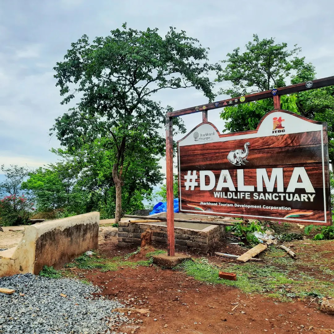 Dalma Wildlife Sanctuary