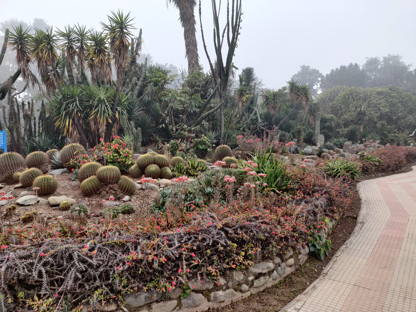 Cactus Garden Panchkula