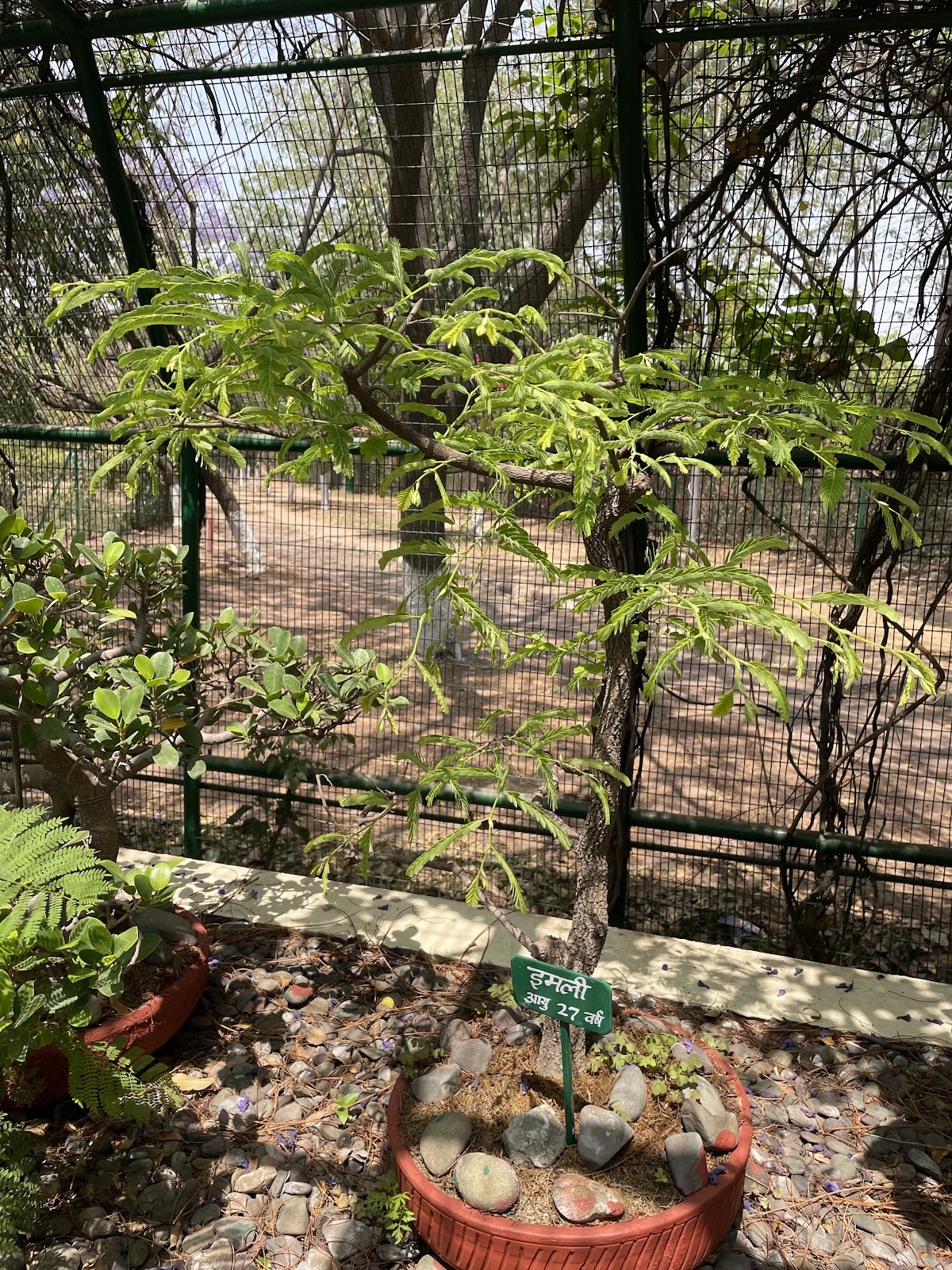 Community Parks and Trails