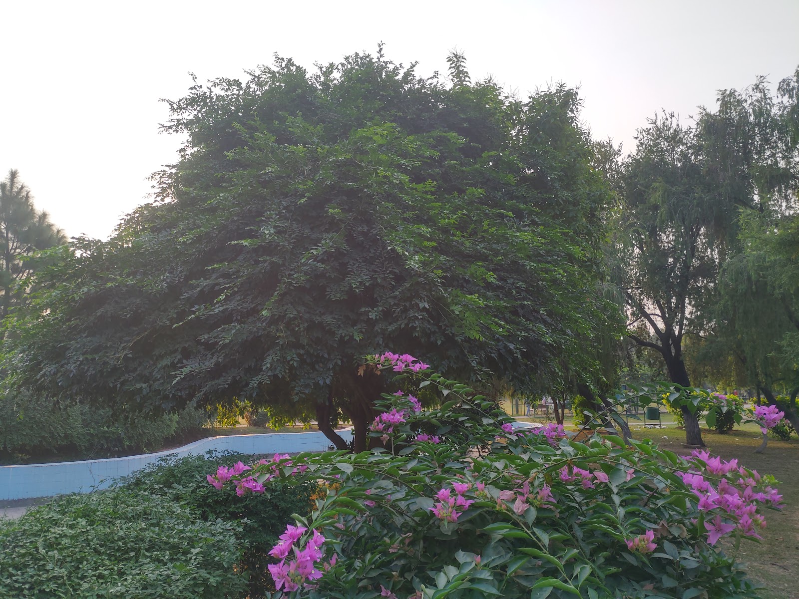 Community Parks and Trails