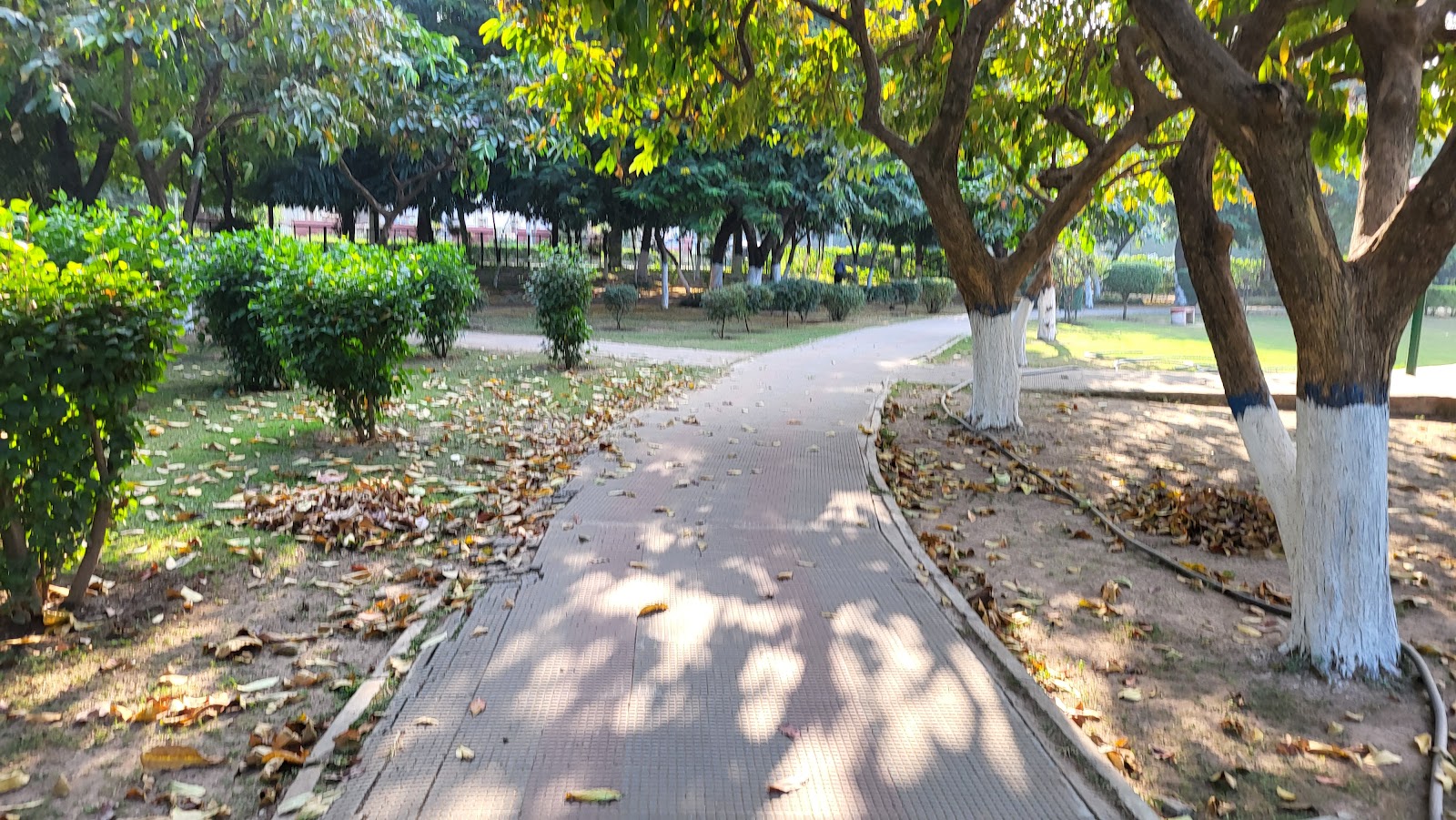 Community Parks and Trails