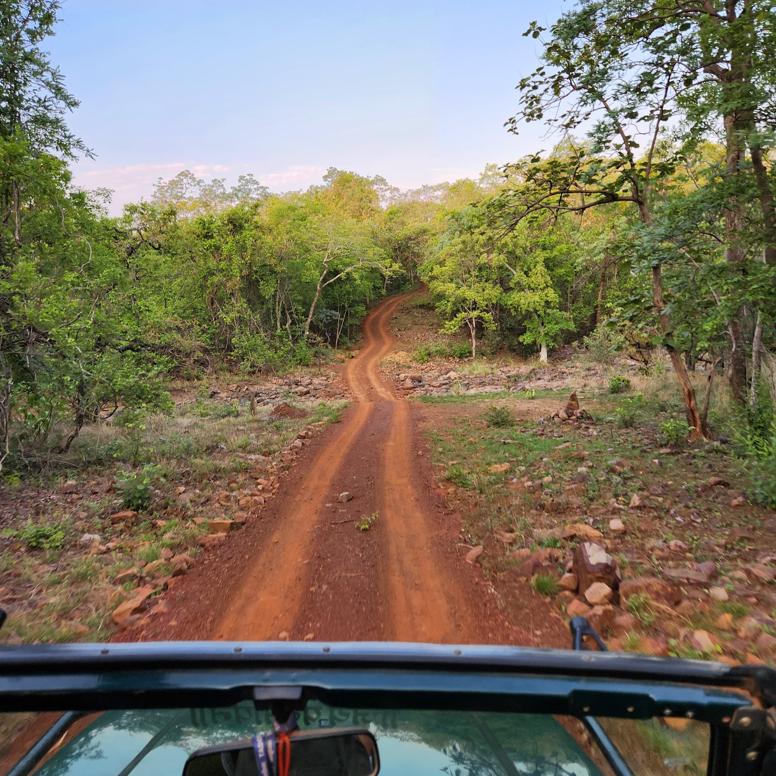 Tadoba Andhari Tiger Reserve