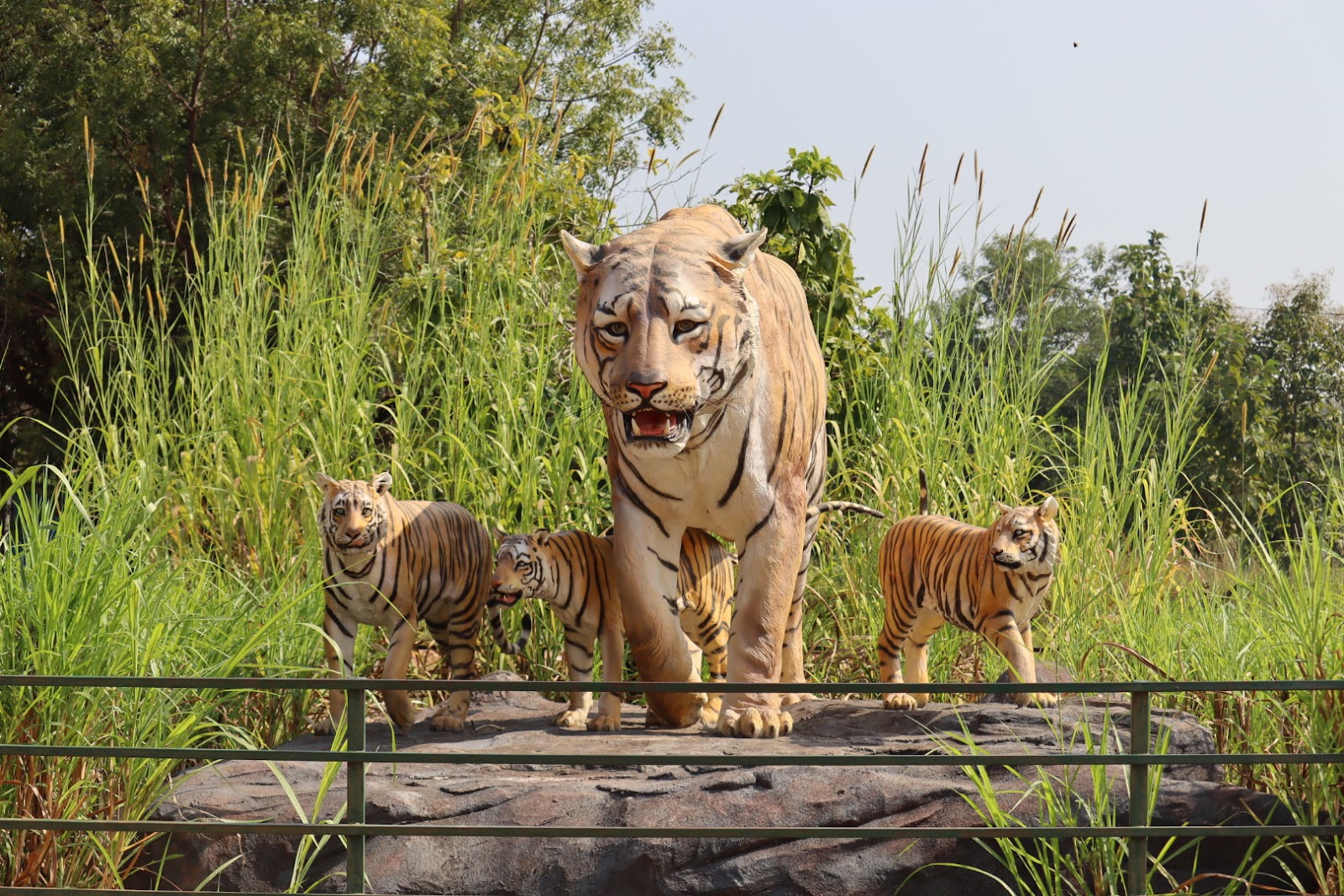 Tadoba Andhari Tiger Reserve