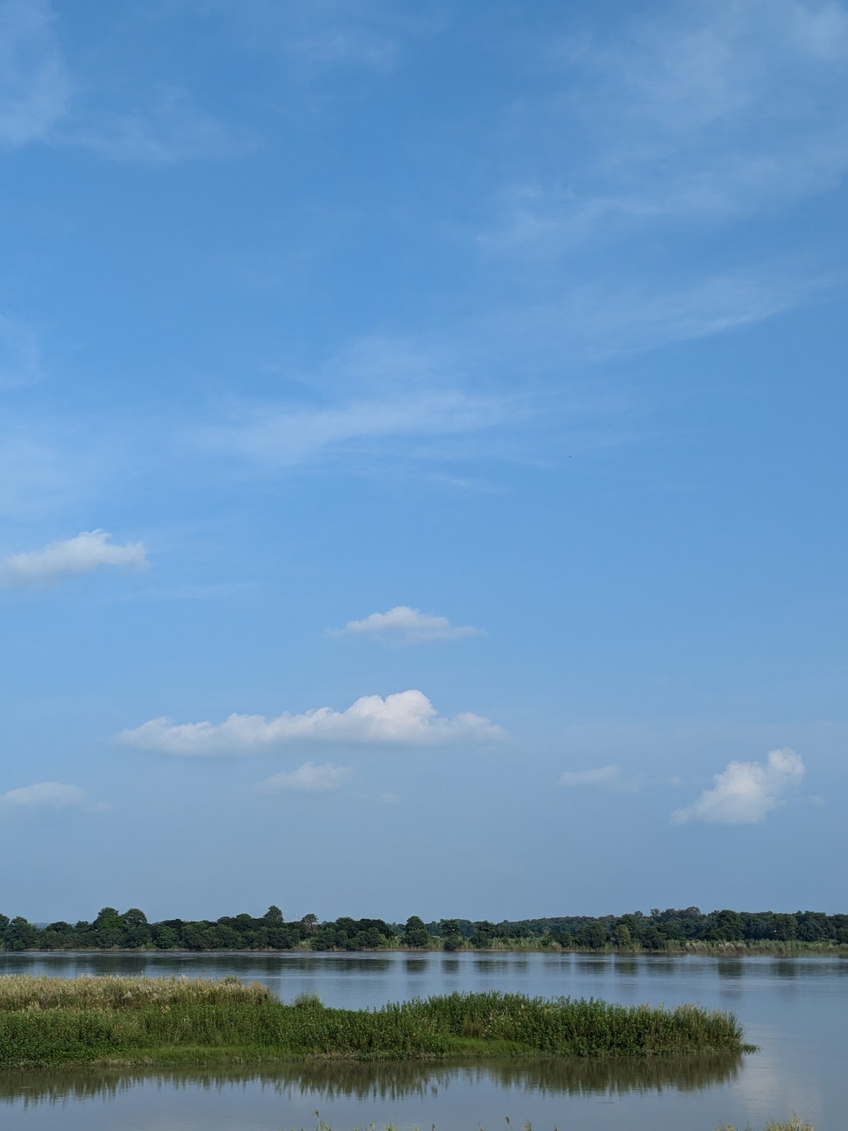 Nature Trail and Wetlands