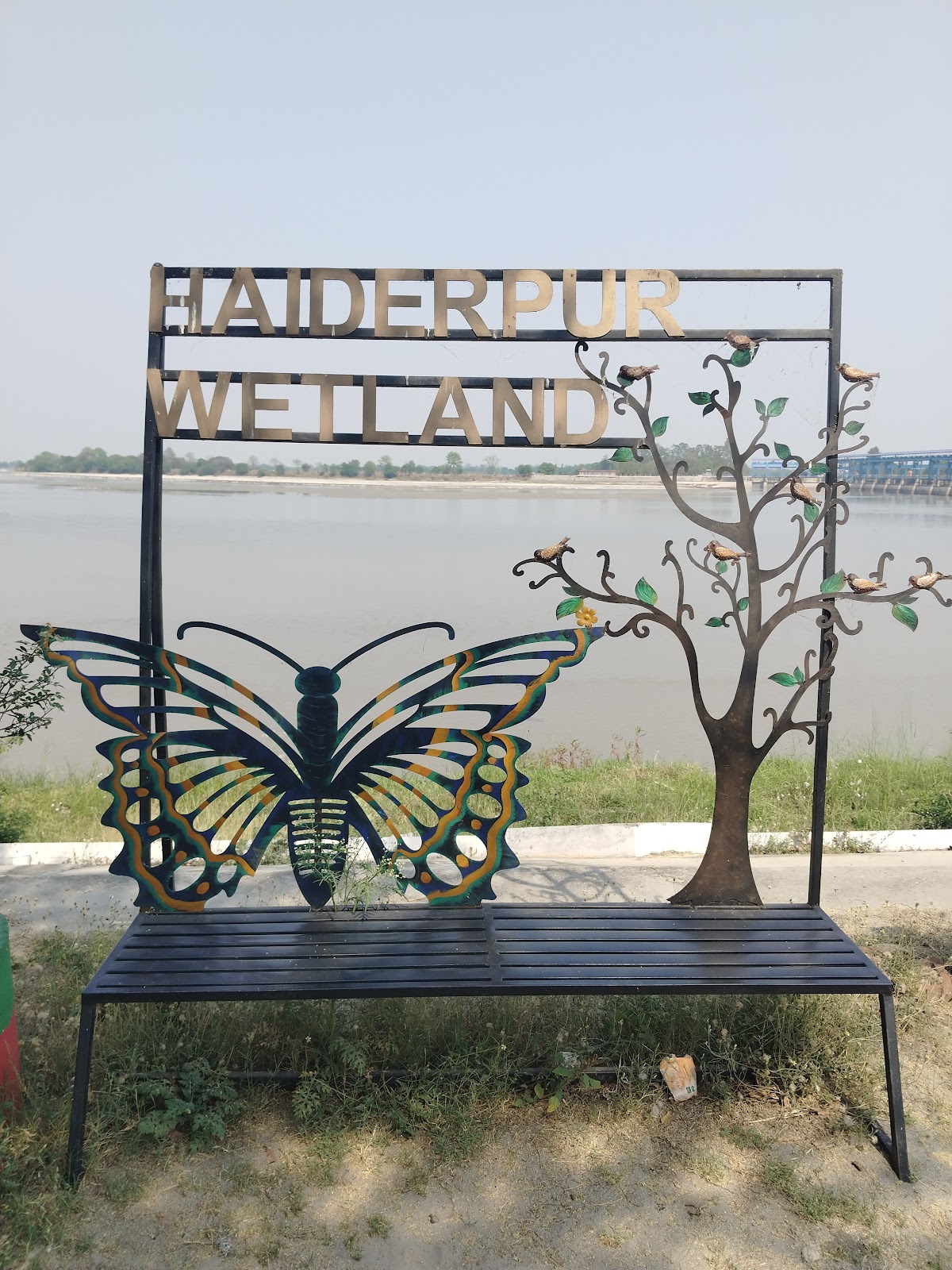 Nature Trail and Wetlands