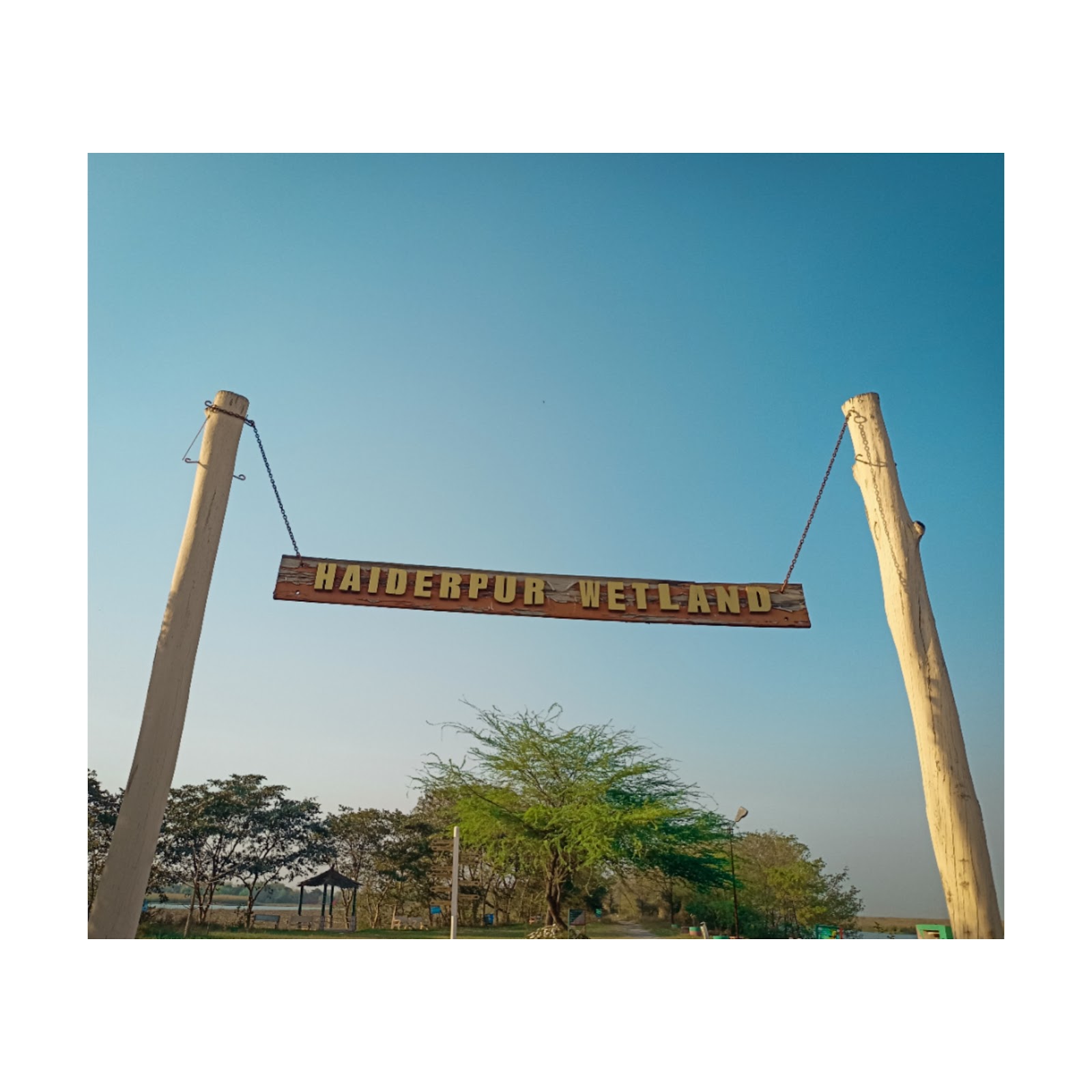 Nature Trail and Wetlands