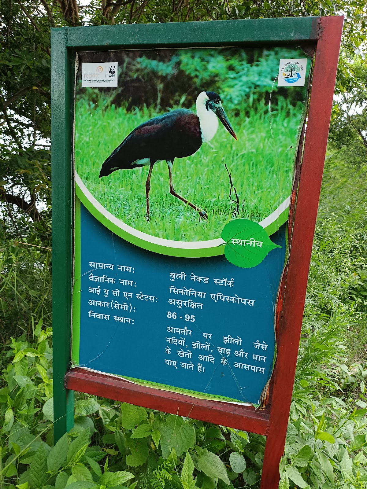 Nature Trail and Wetlands