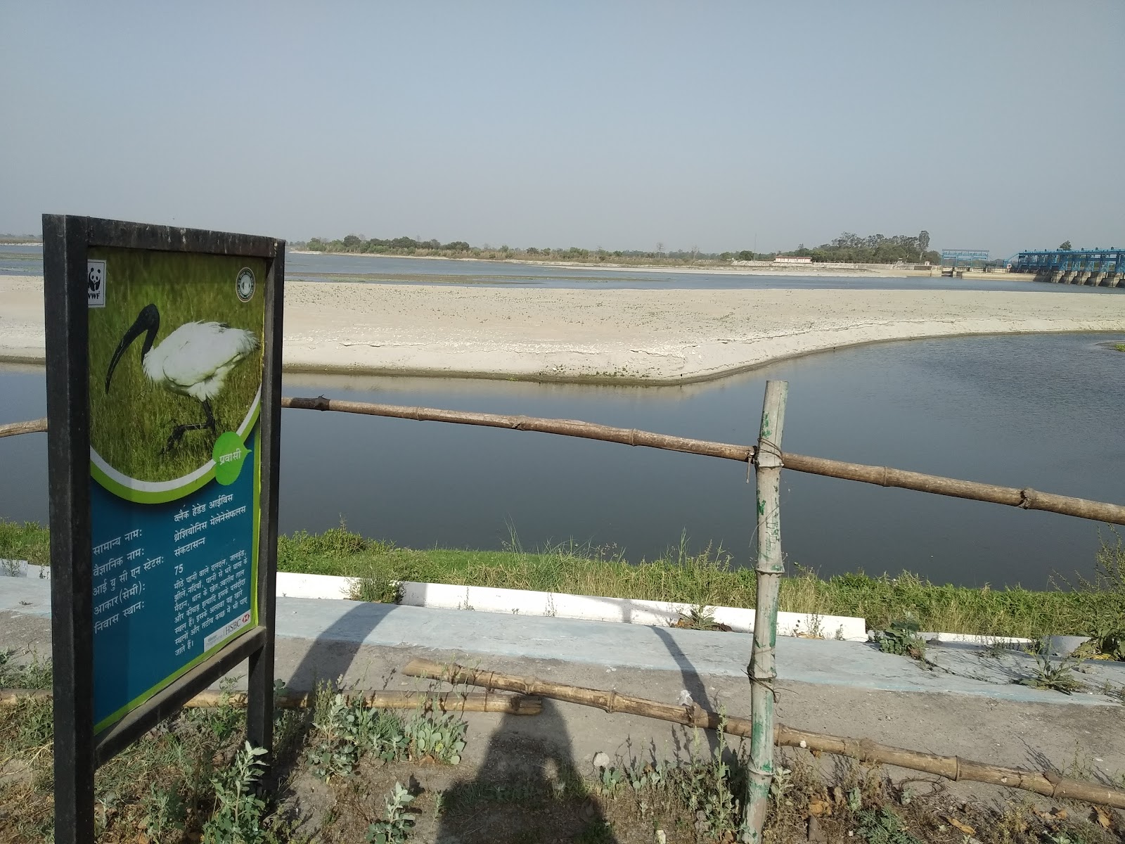 Nature Trail and Wetlands