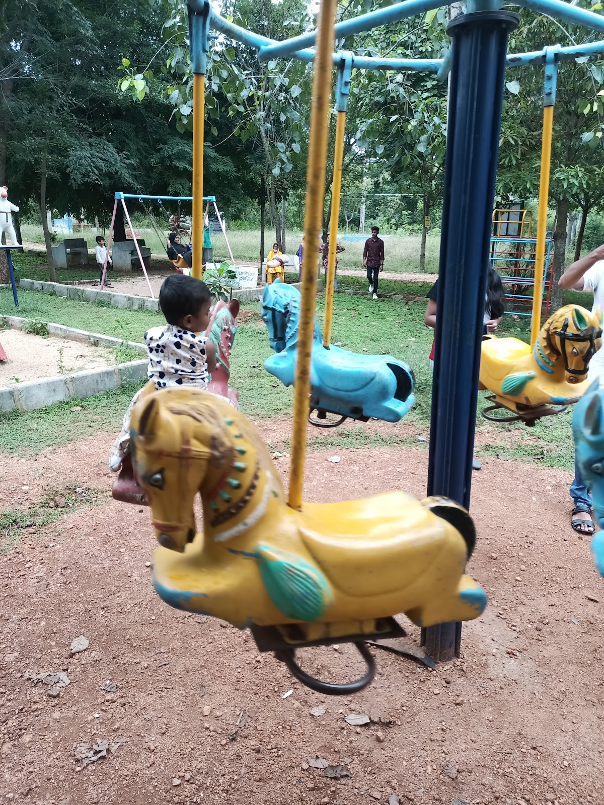 Local Parks and Playground