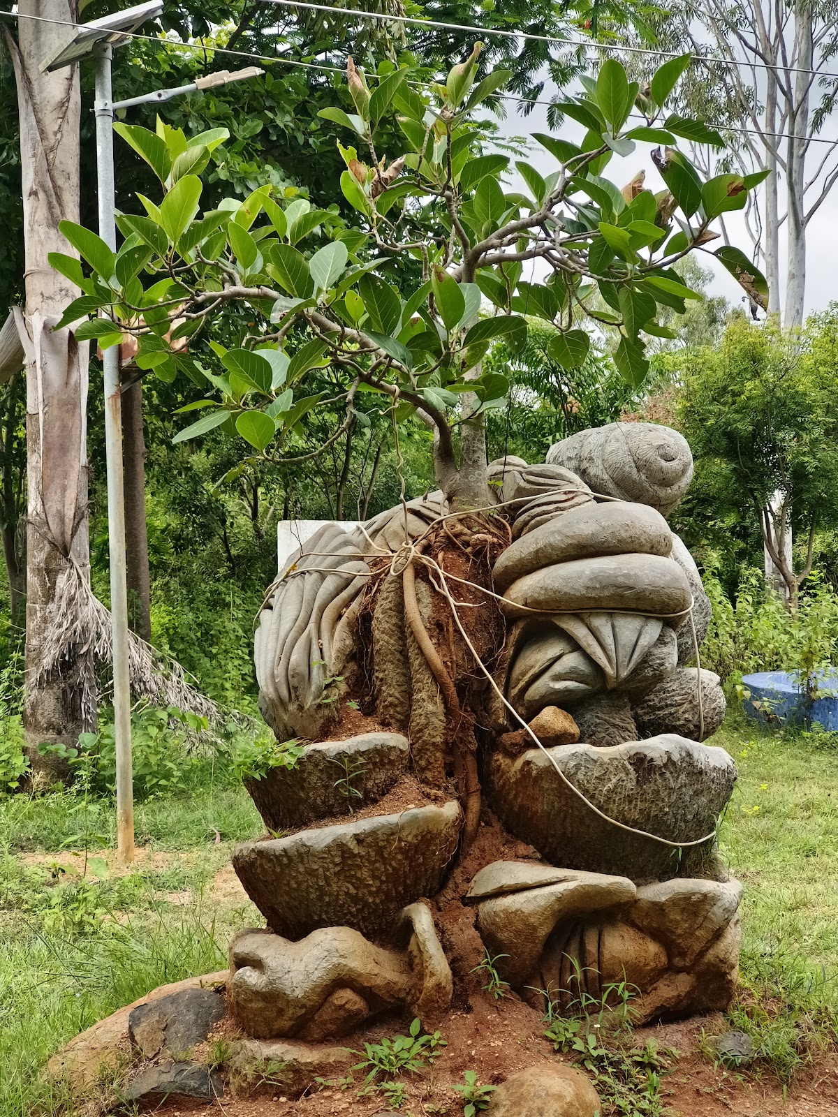 Local Parks and Playground