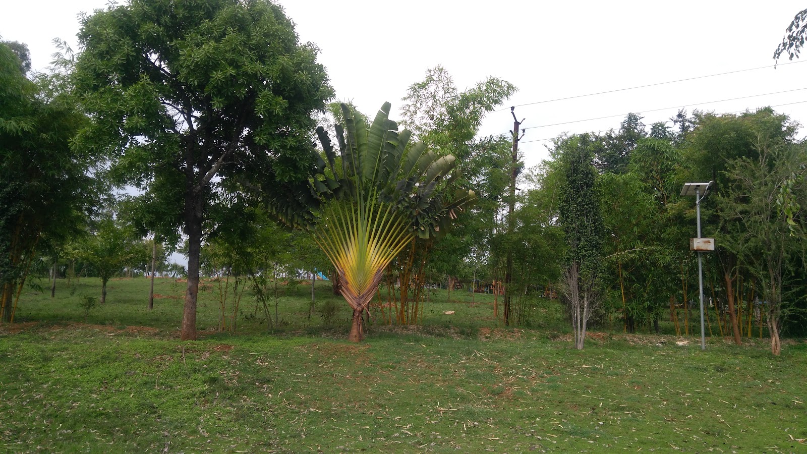 Local Parks and Playground