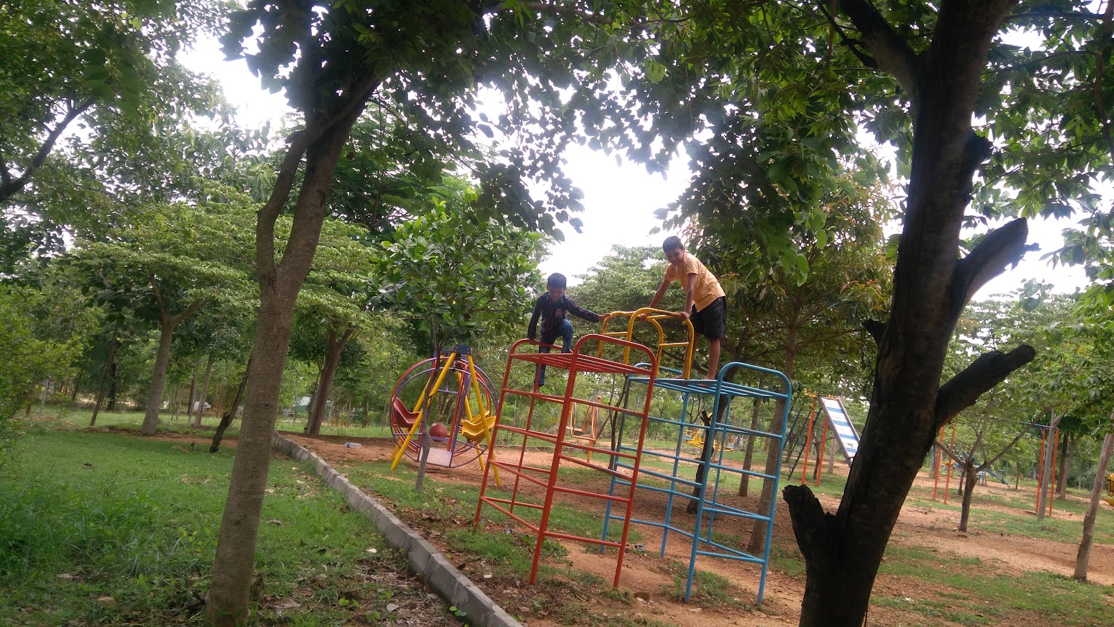 Local Parks and Playground