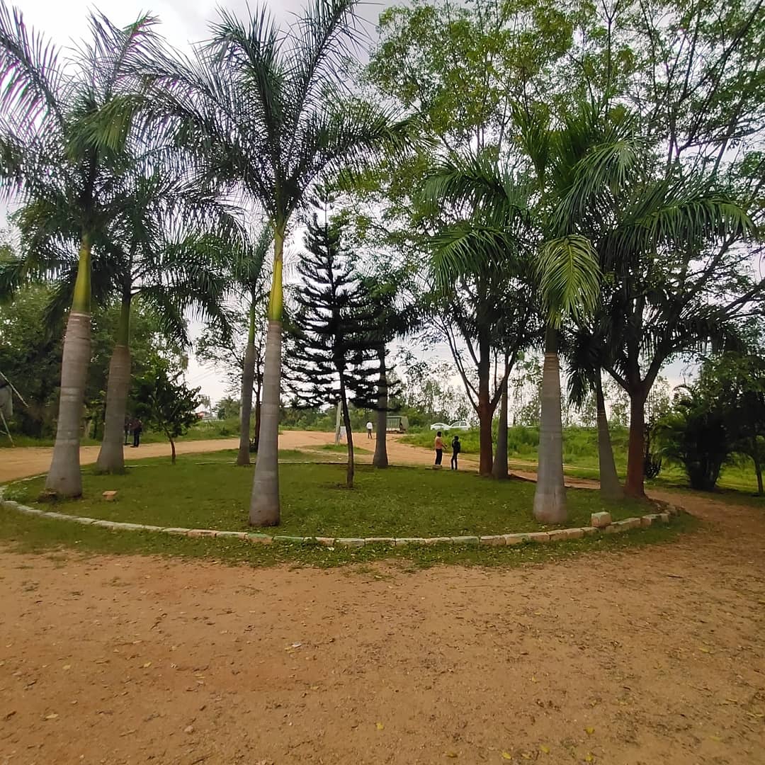 Local Parks and Playground