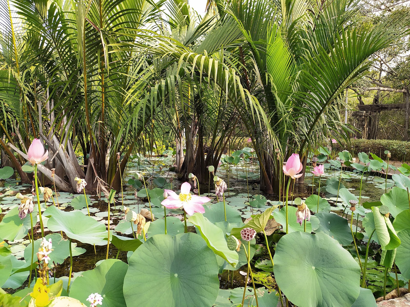 Theosophical Society