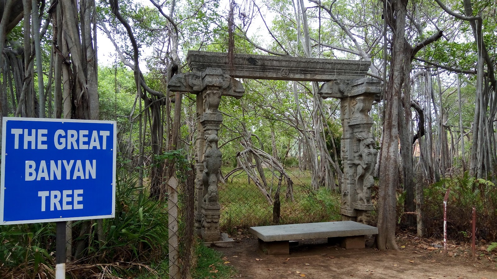 Theosophical Society