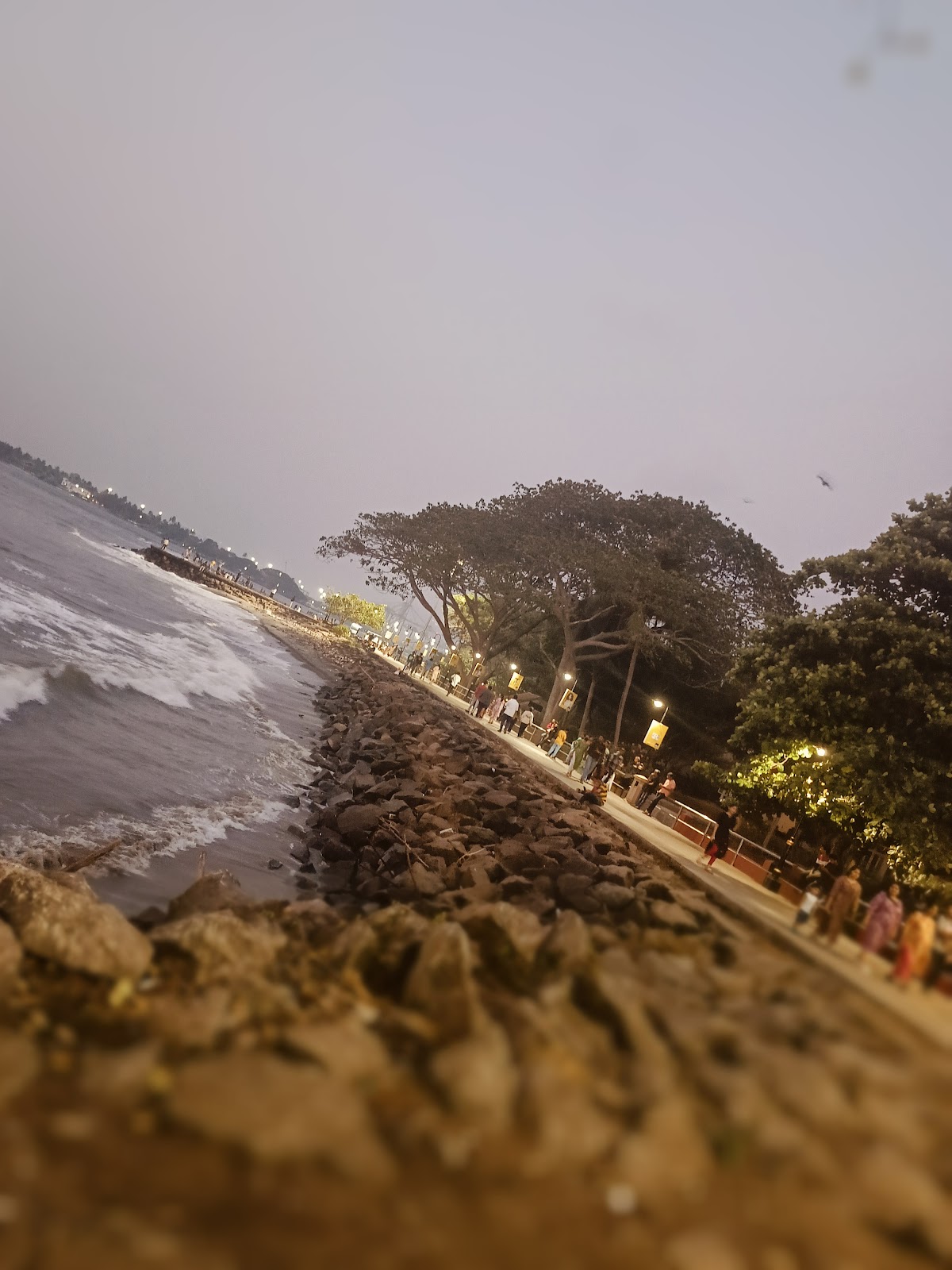 Fort Kochi Beach