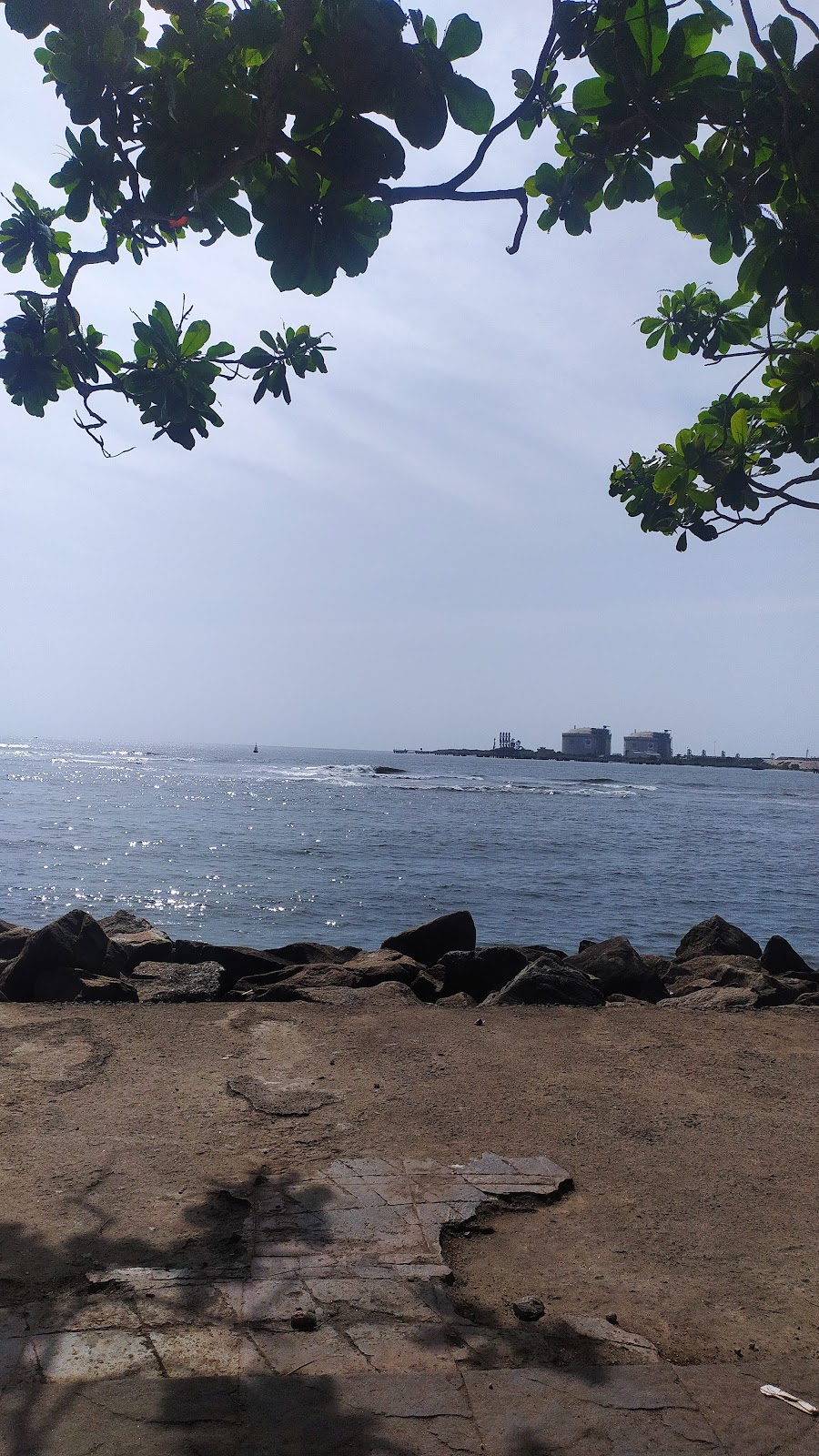 Fort Kochi Beach