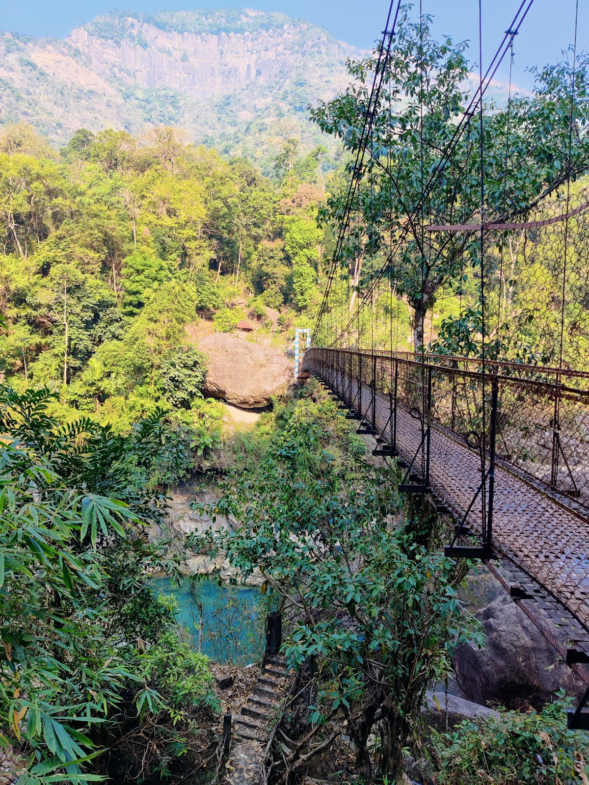 Living Root Bridge