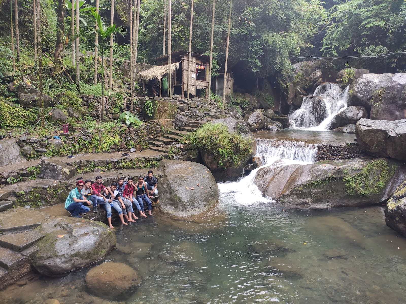 Living Root Bridge