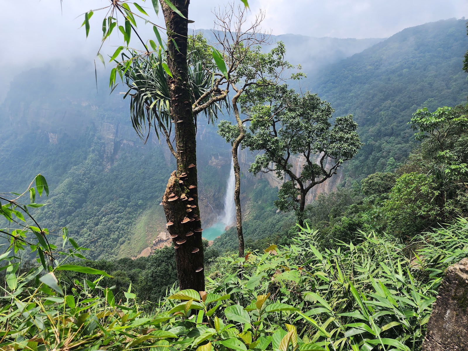 Nohkalikai Falls