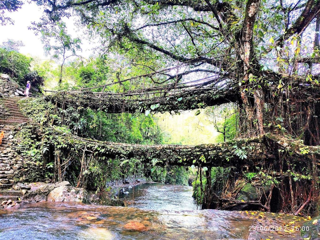 Cherrapunji - The Land of Rain and Natural Wonders