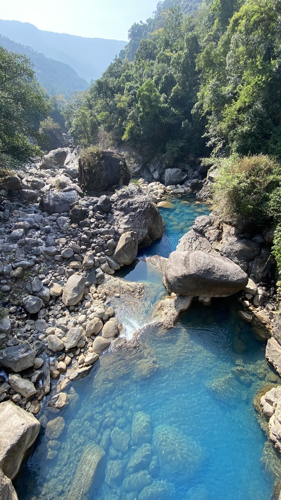 Double Decker Living Root Bridge Nongriat