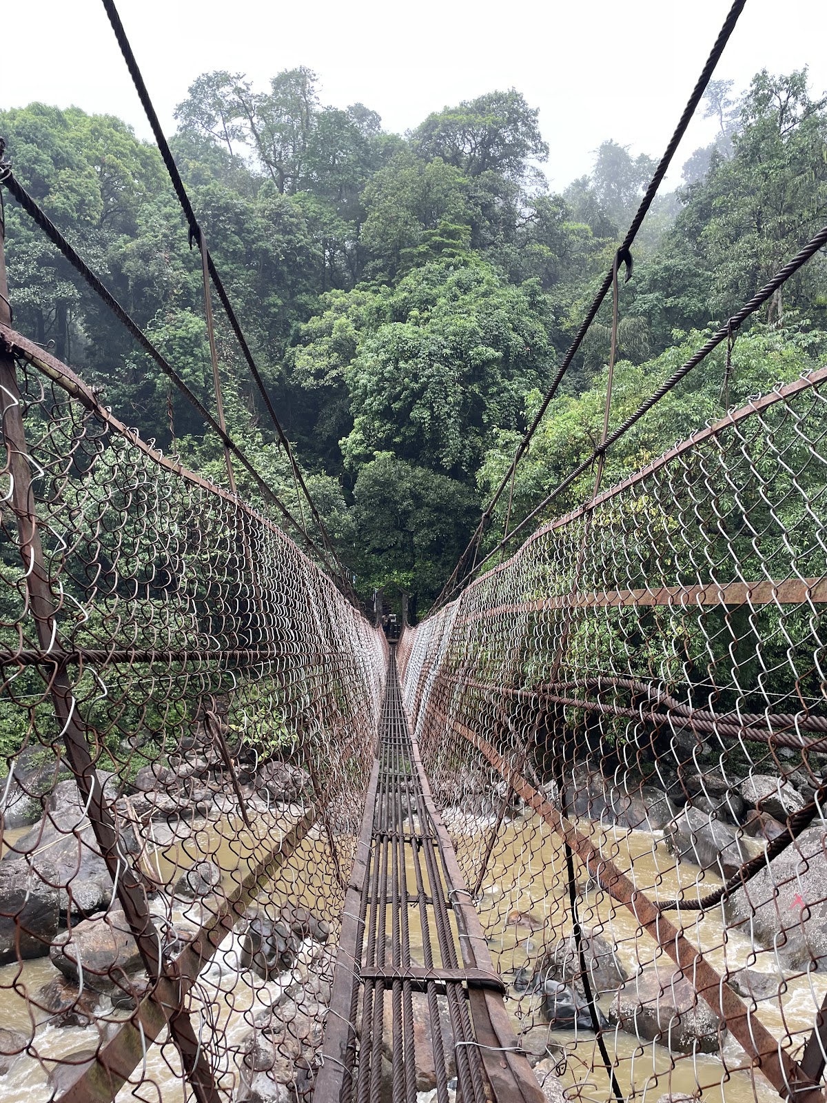 Double Decker Living Root Bridge Nongriat