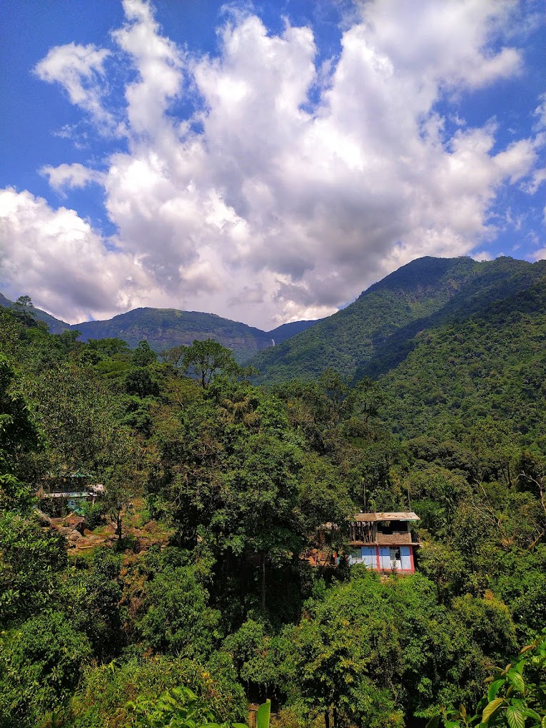 Double Decker Living Root Bridge Nongriat