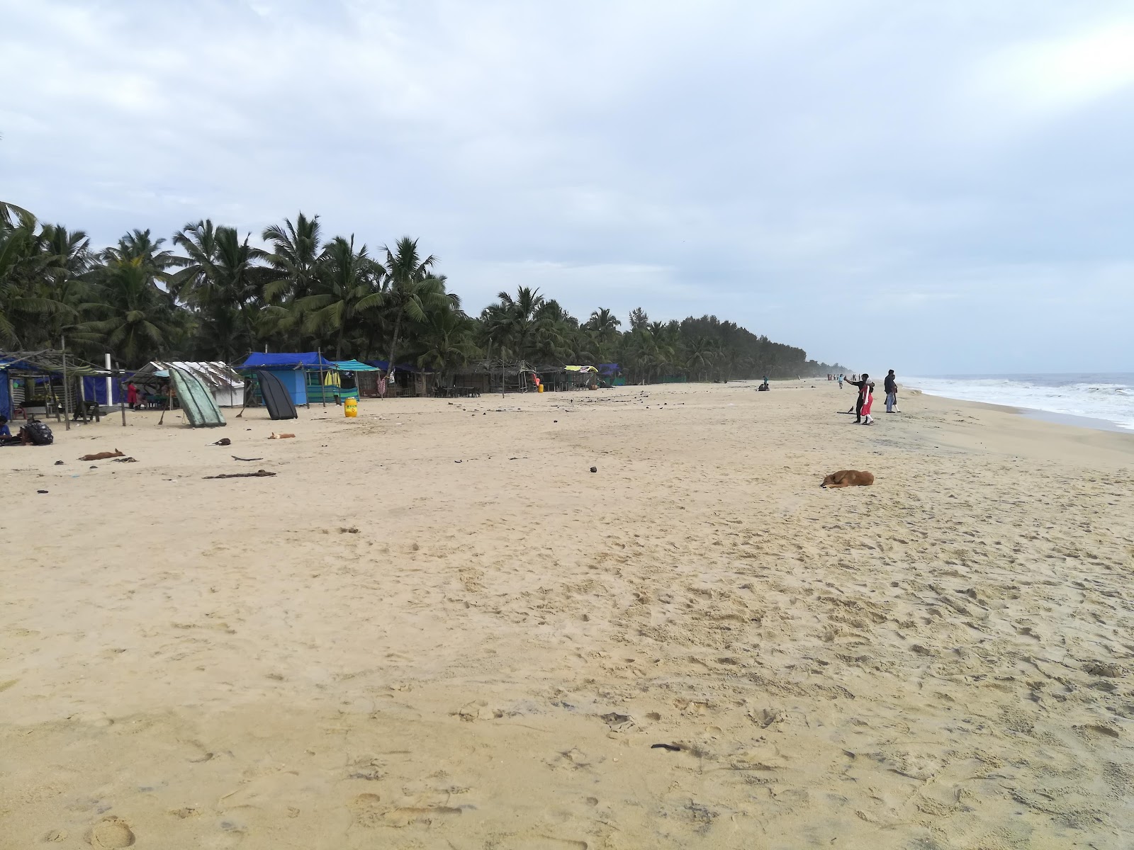 Marari Beach