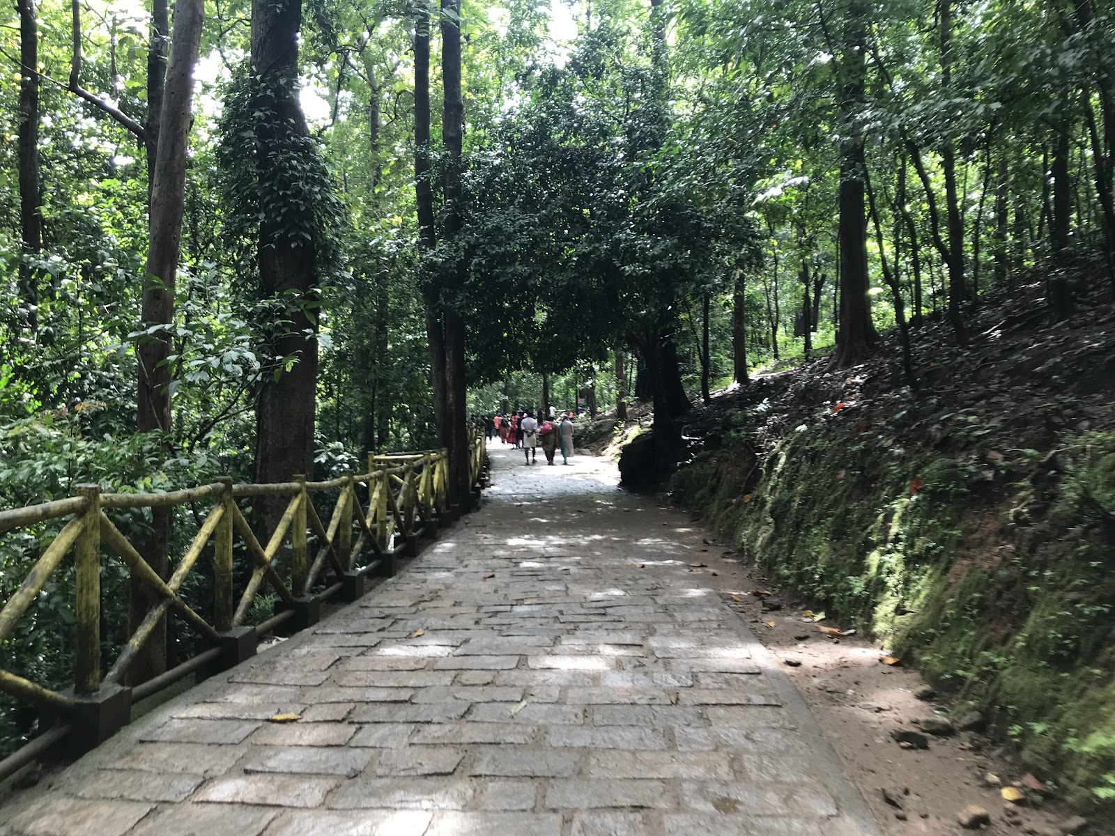 Athirappilly Waterfalls