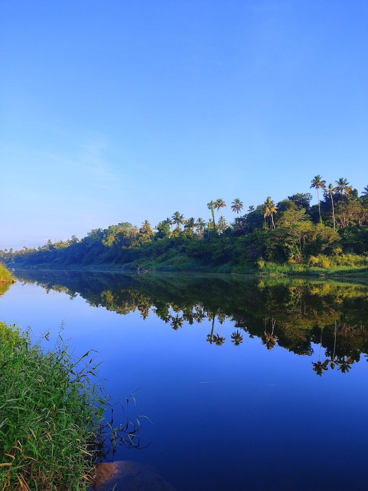 Chalakudy River
