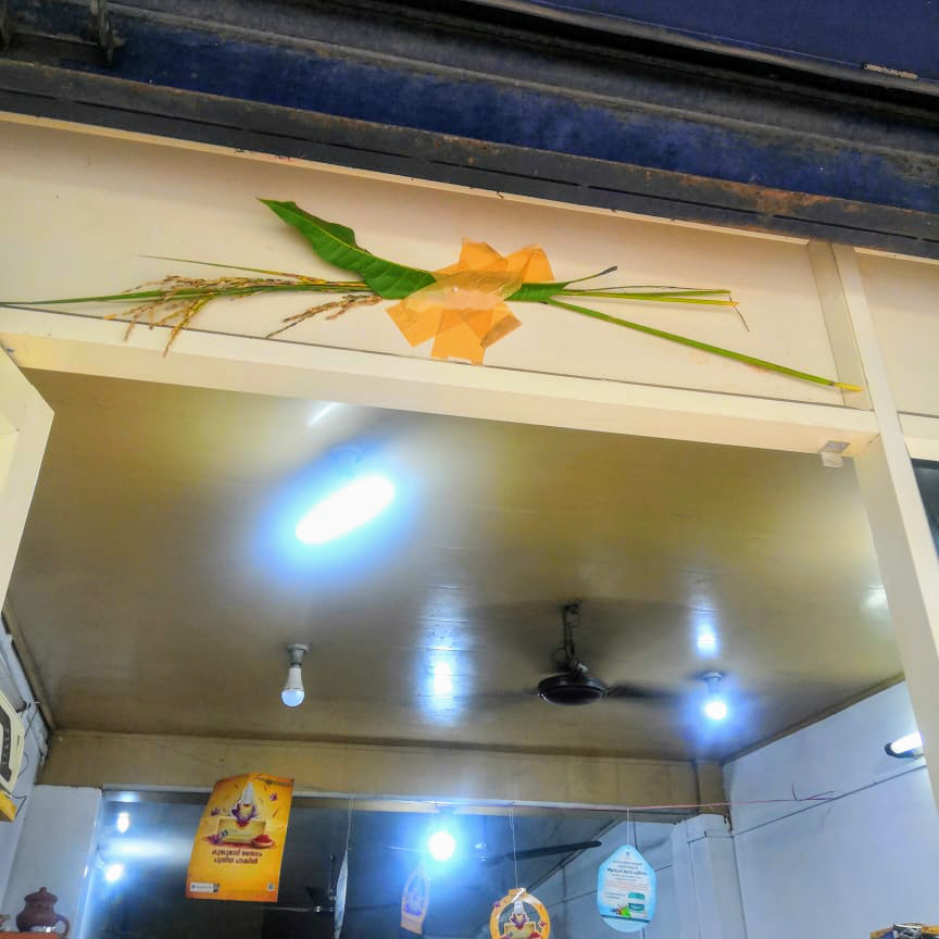 Kottakkal Arya Vaidya Sala