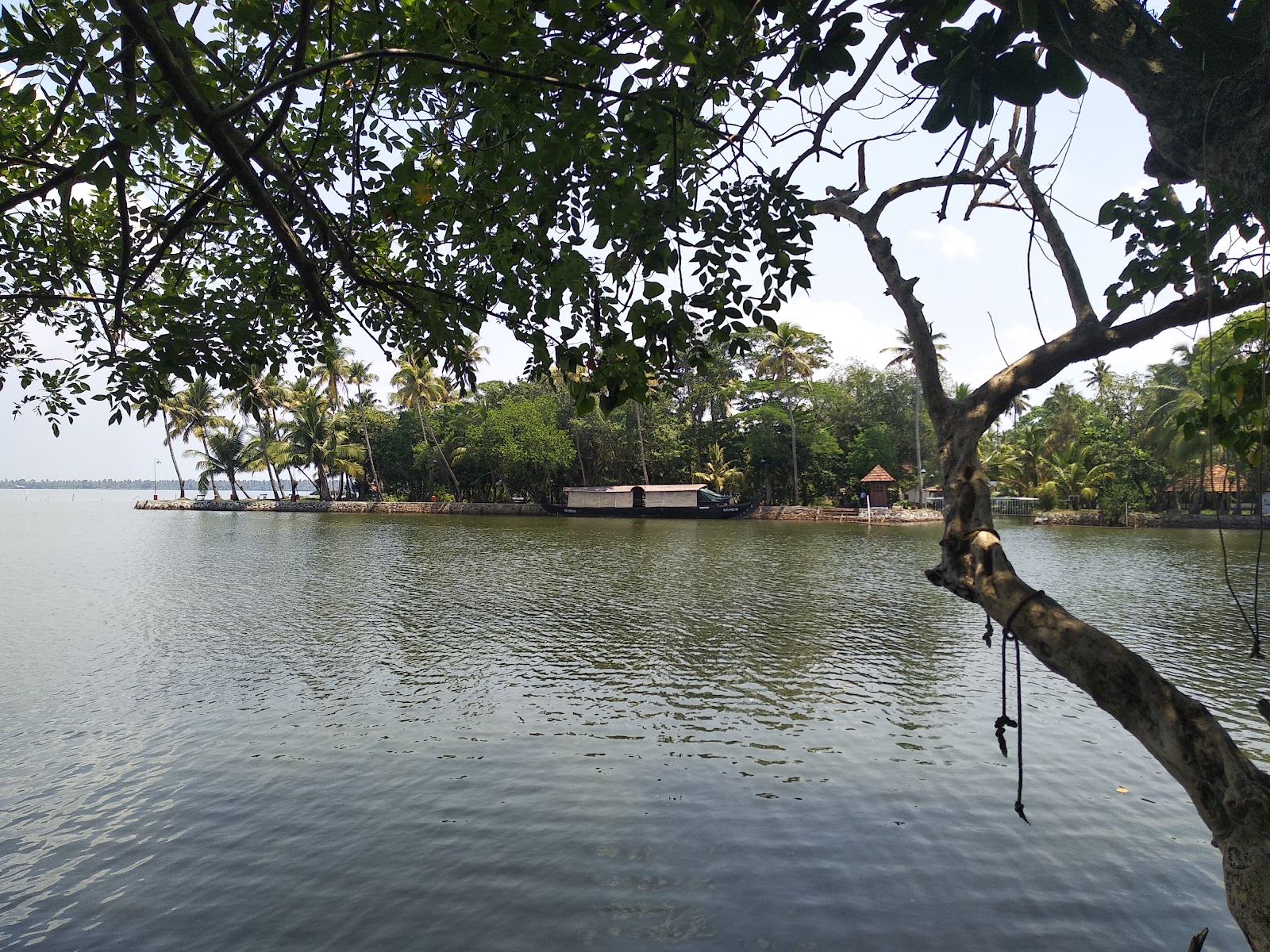 Kumarakom Bird Sanctuary