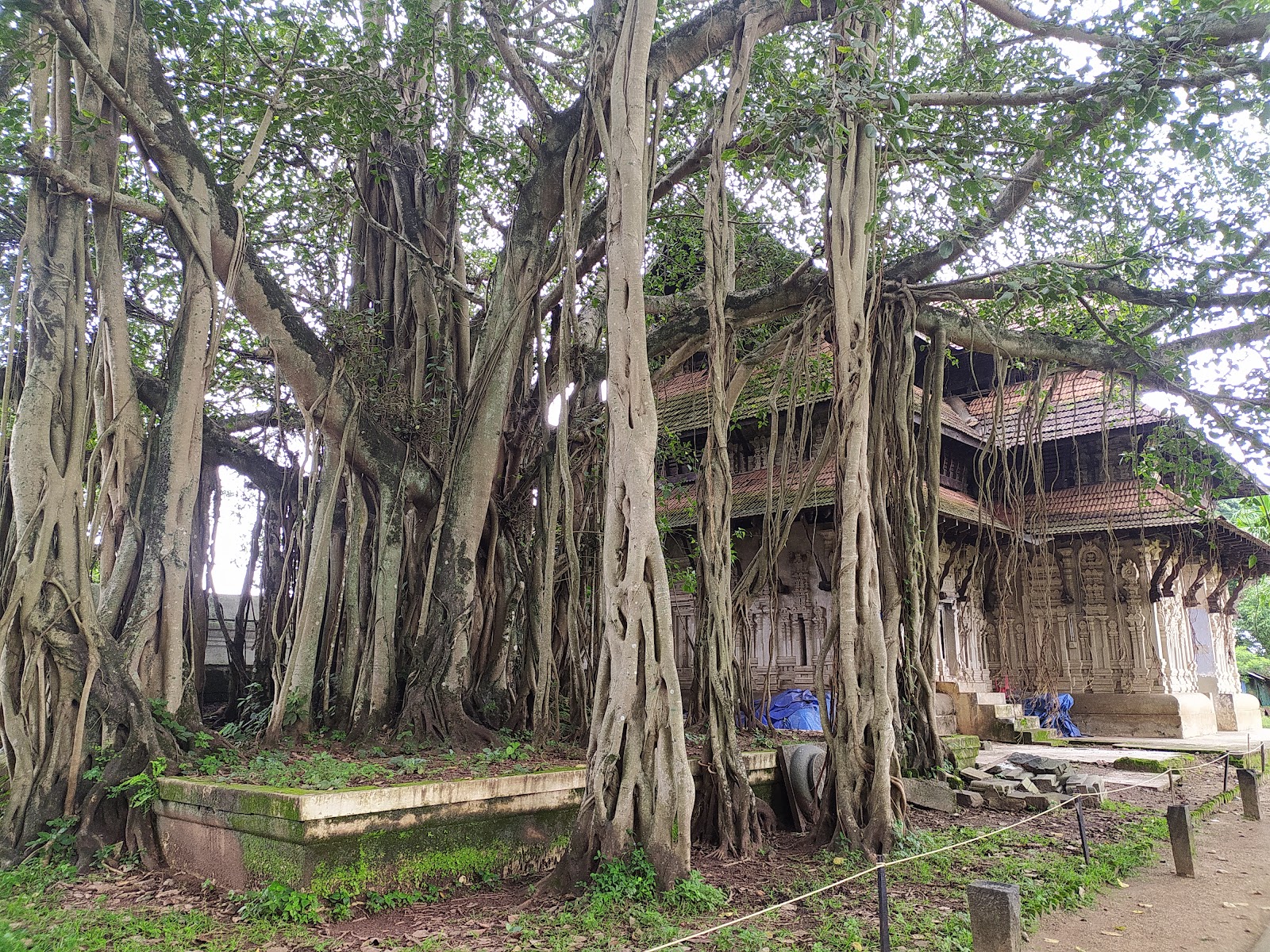 Vadakkumnathan Temple