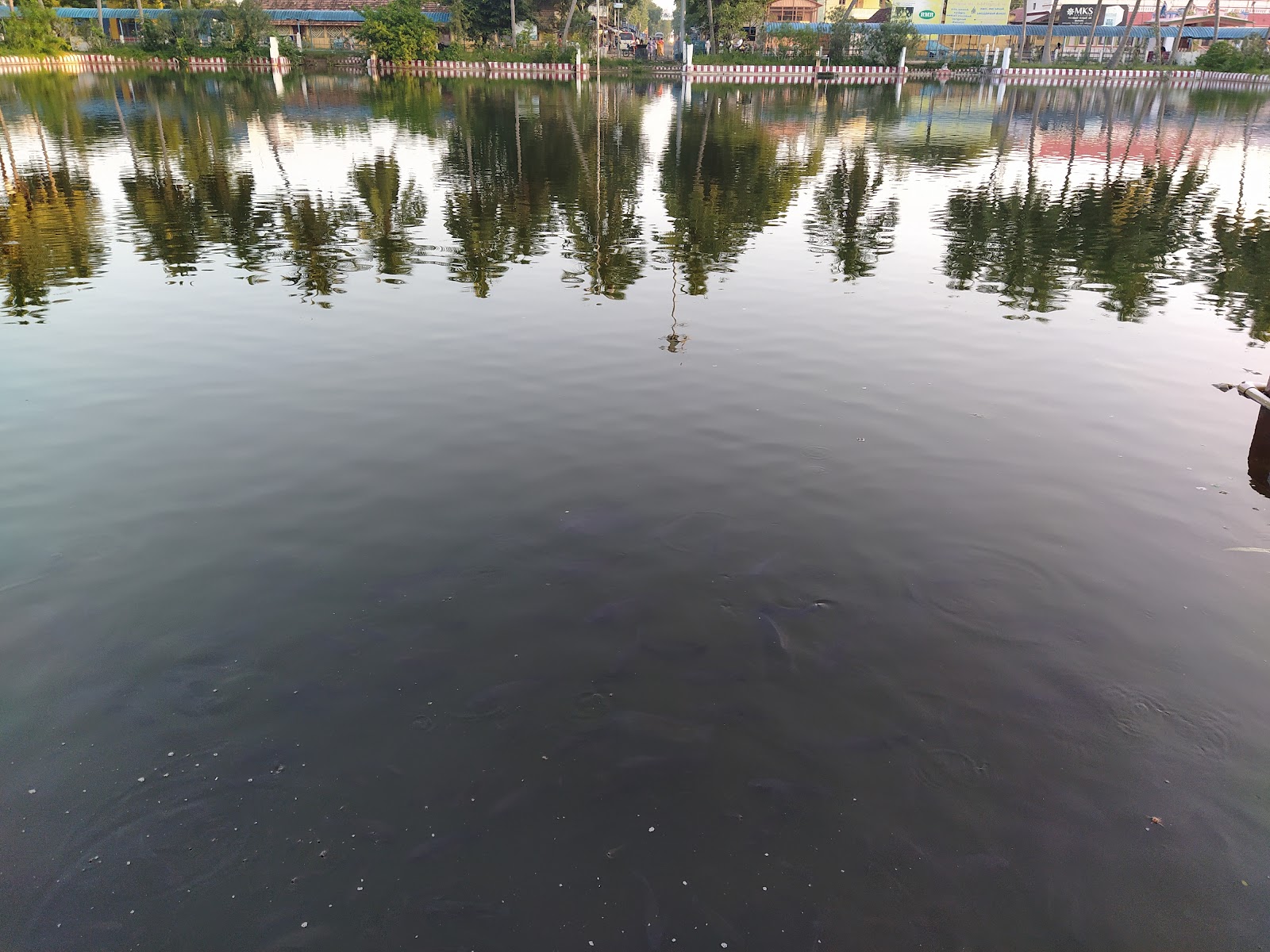 Pillaiyarpatti Temple