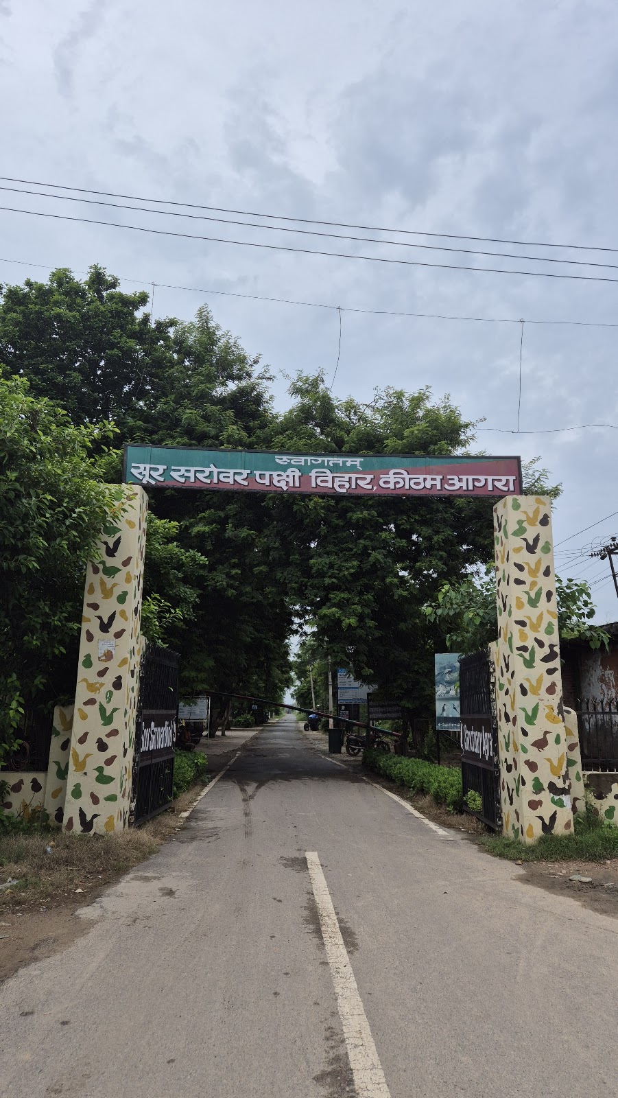 Field Edge Bird Spot