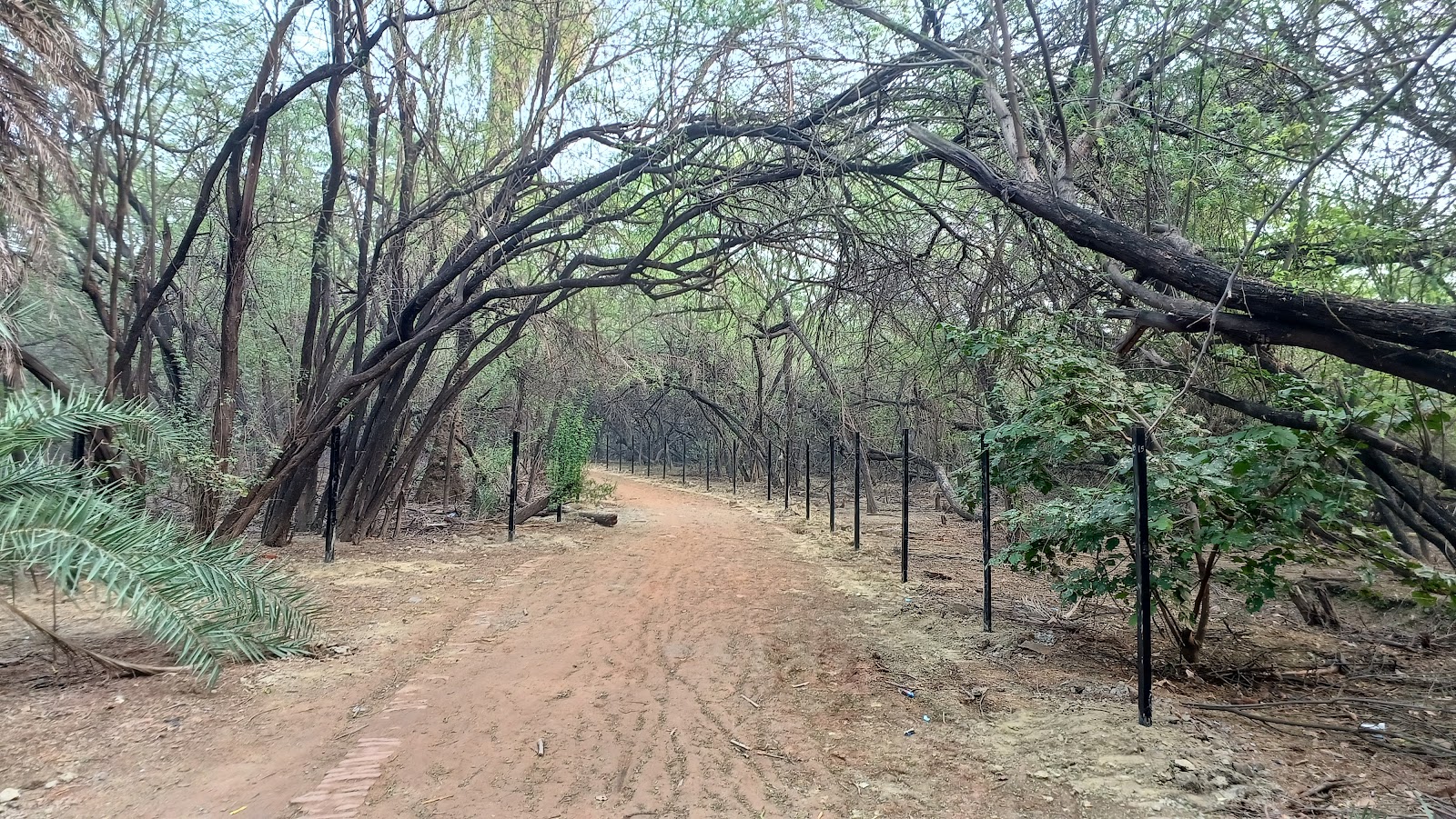 Field Edge Bird Spot