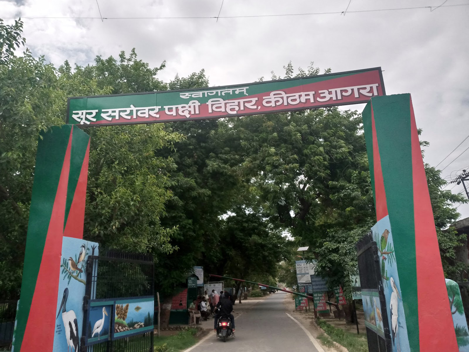 Field Edge Bird Spot