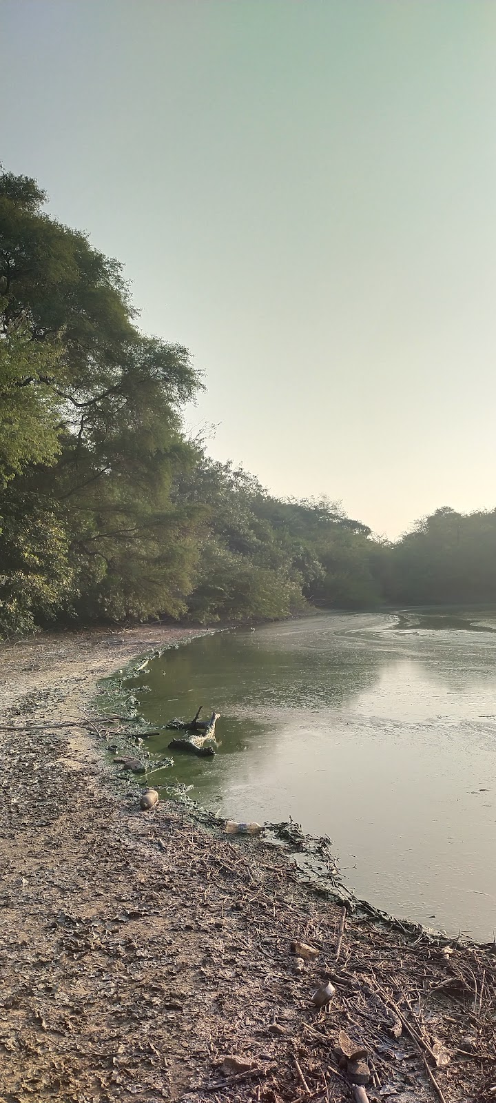 Field Edge Bird Spot