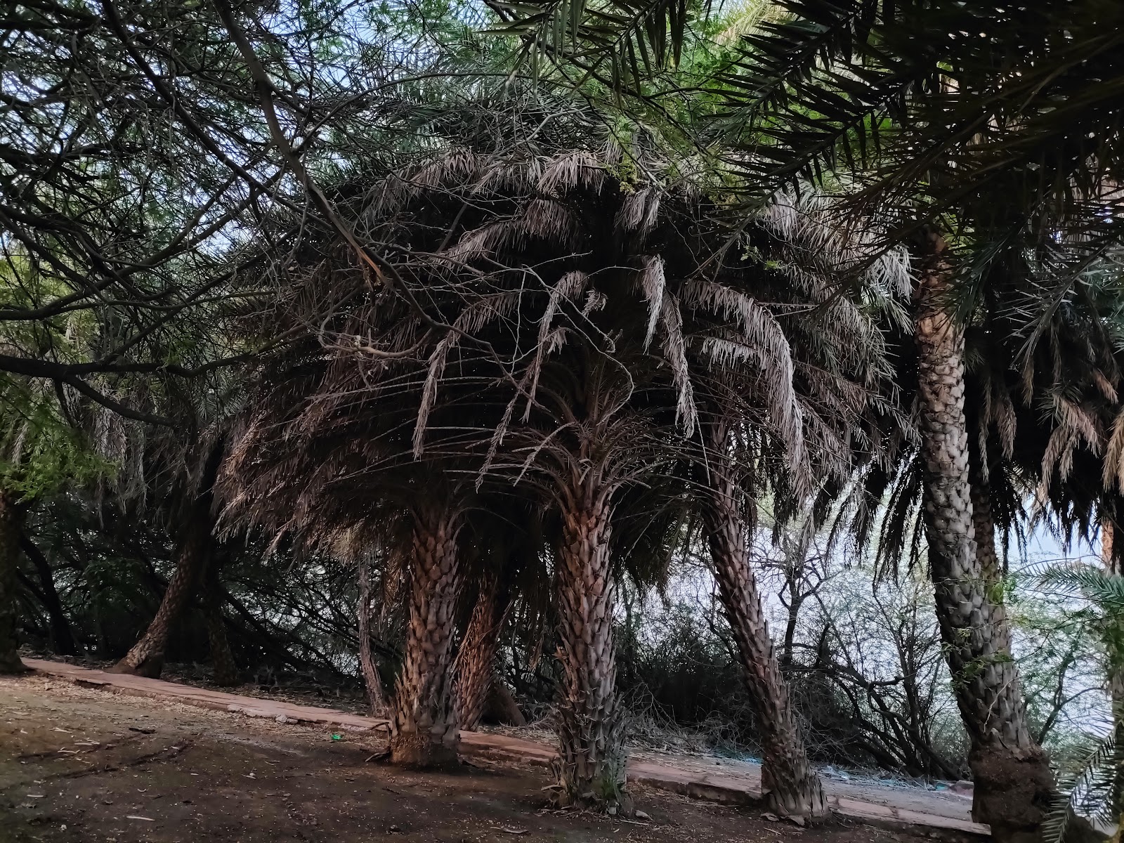 Field Edge Bird Spot