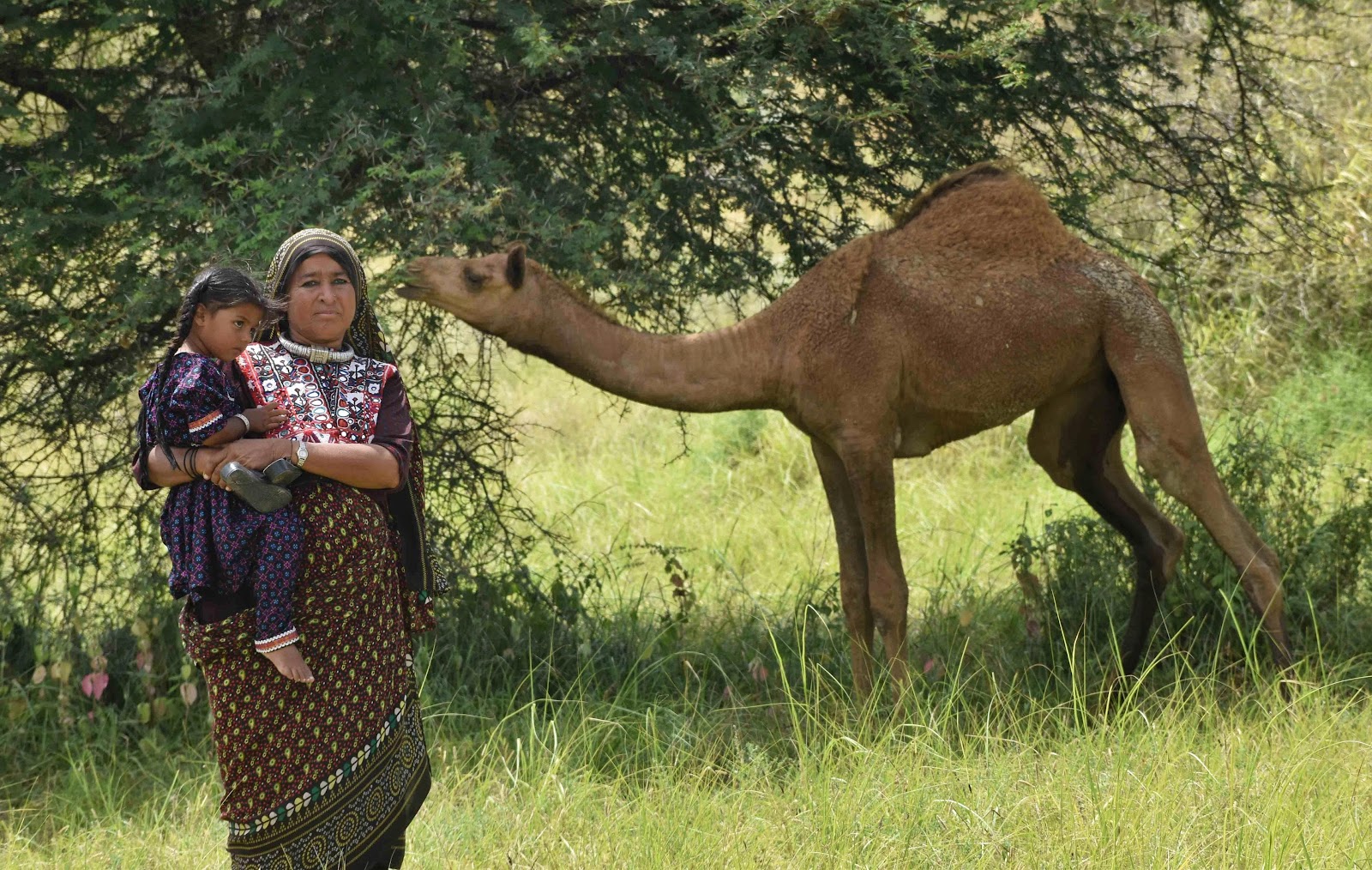 Tribal Tour Gujarat India