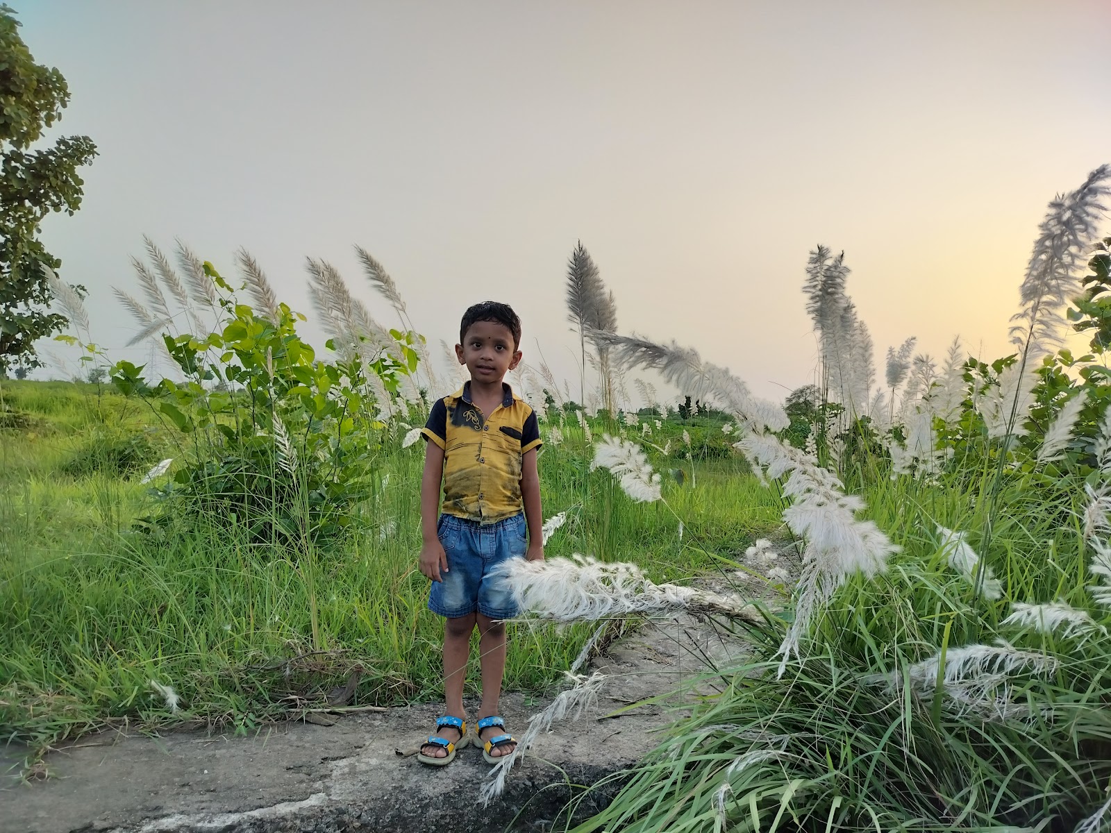 Chikhaldara Sunset Point