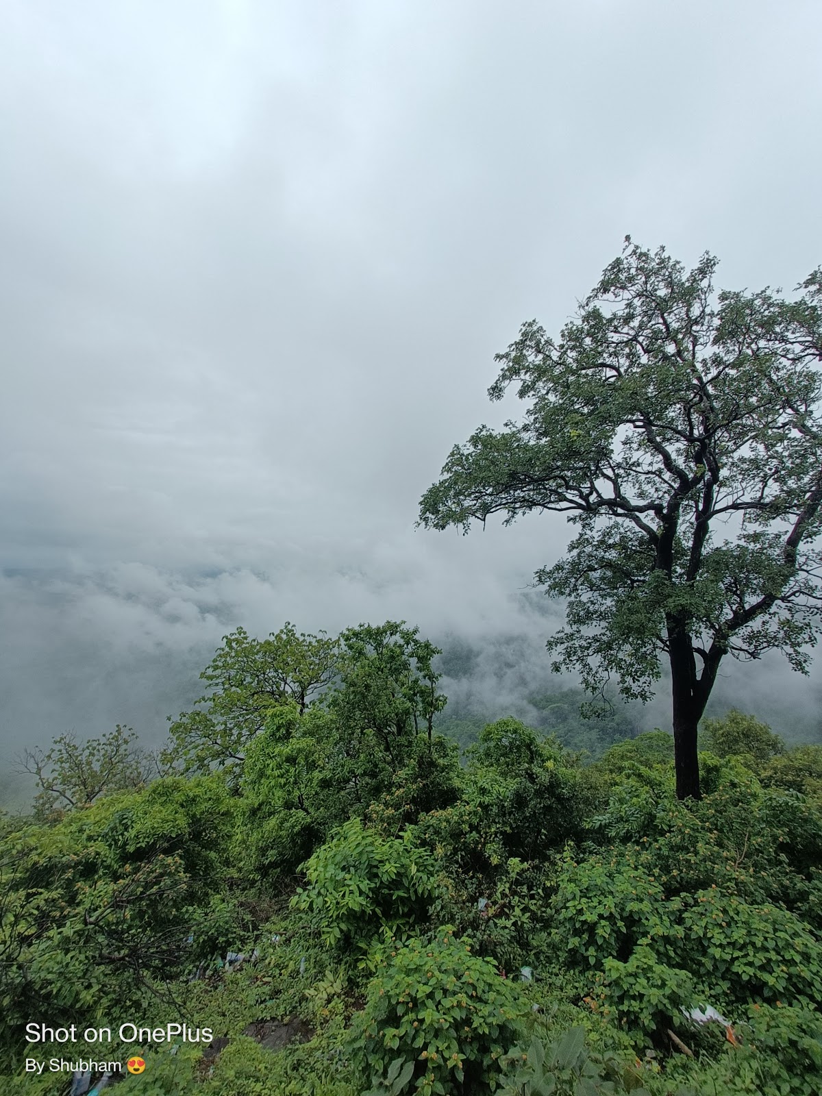 Lendi Lake Viewpoint