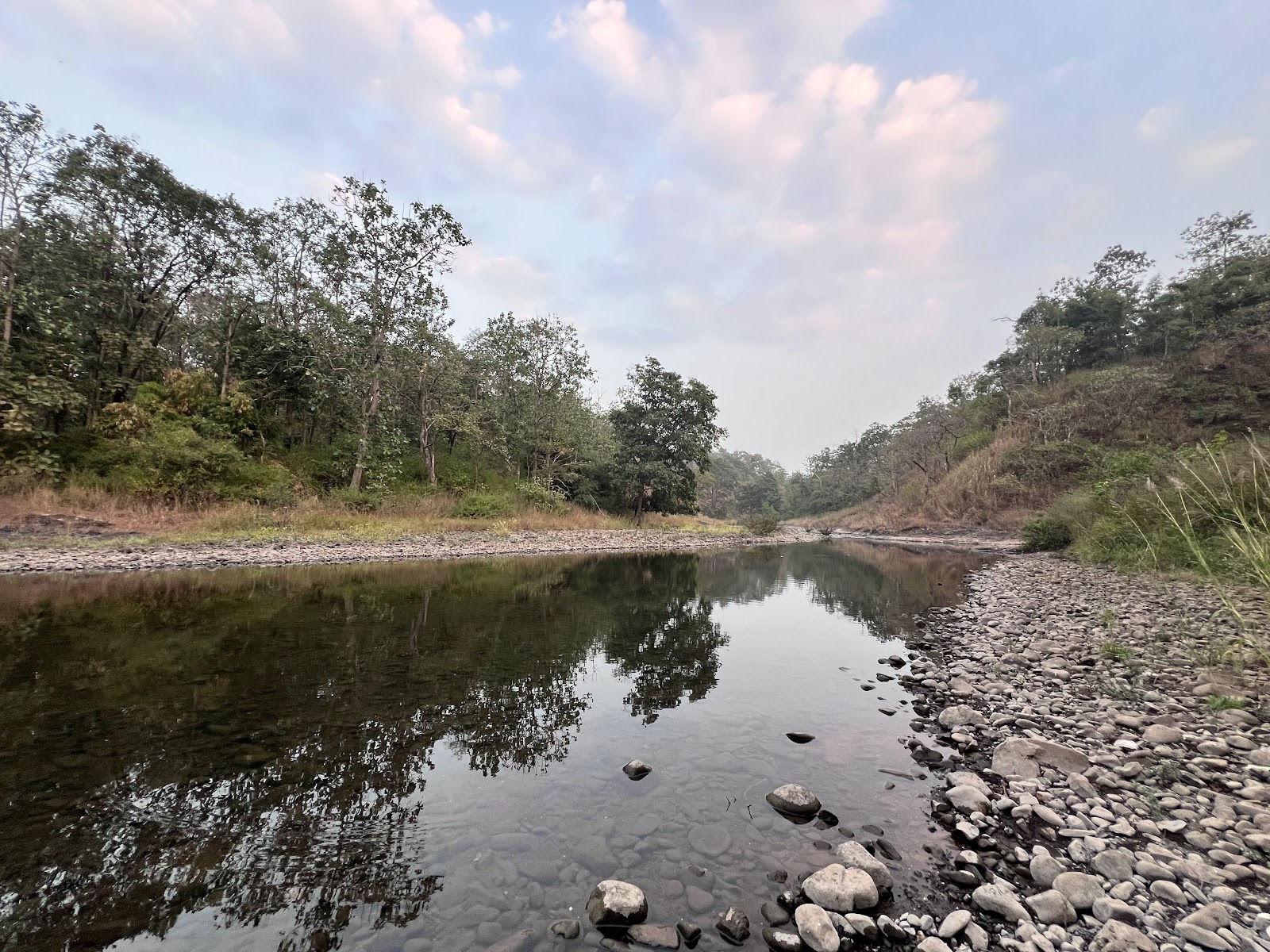 Melghat Tiger Reserve