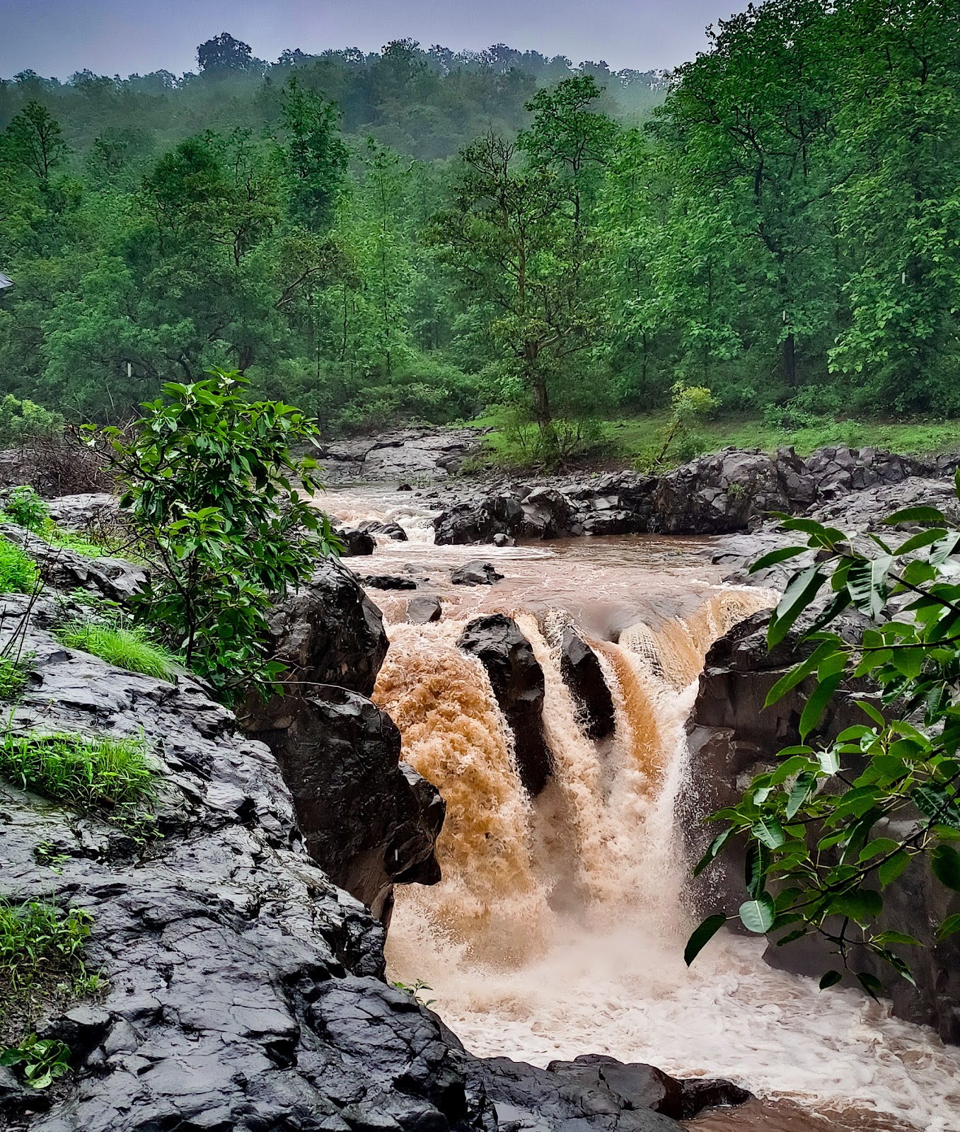 Melghat Tiger Reserve