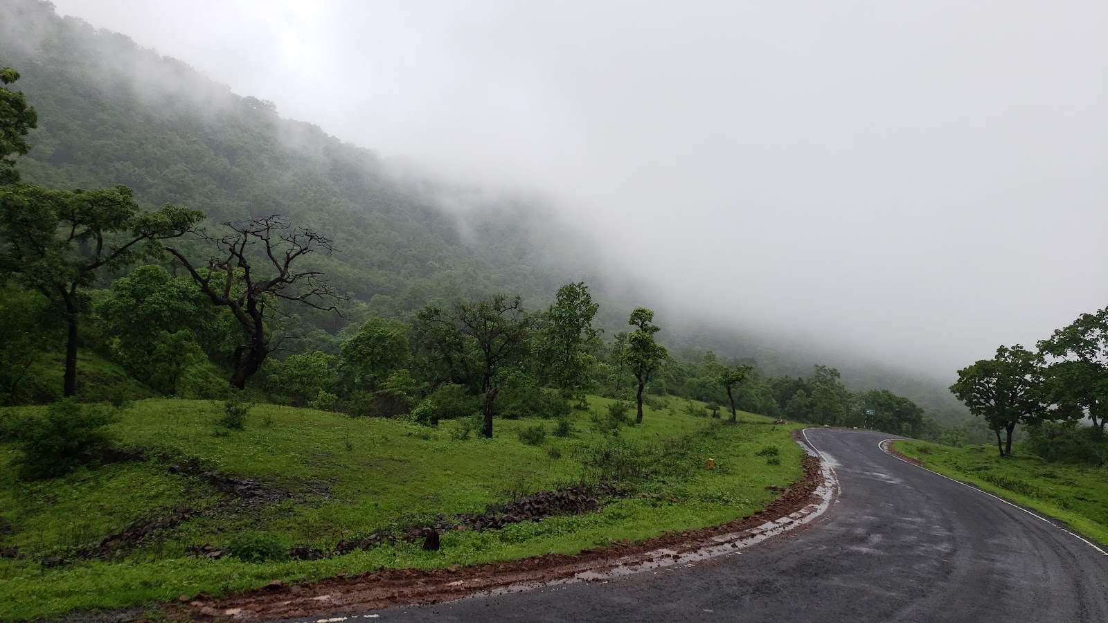 Melghat Tiger Reserve