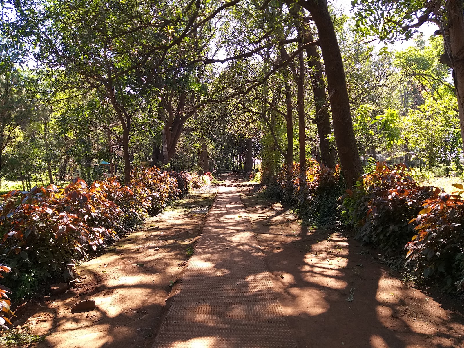 Orchid and Botanical Garden