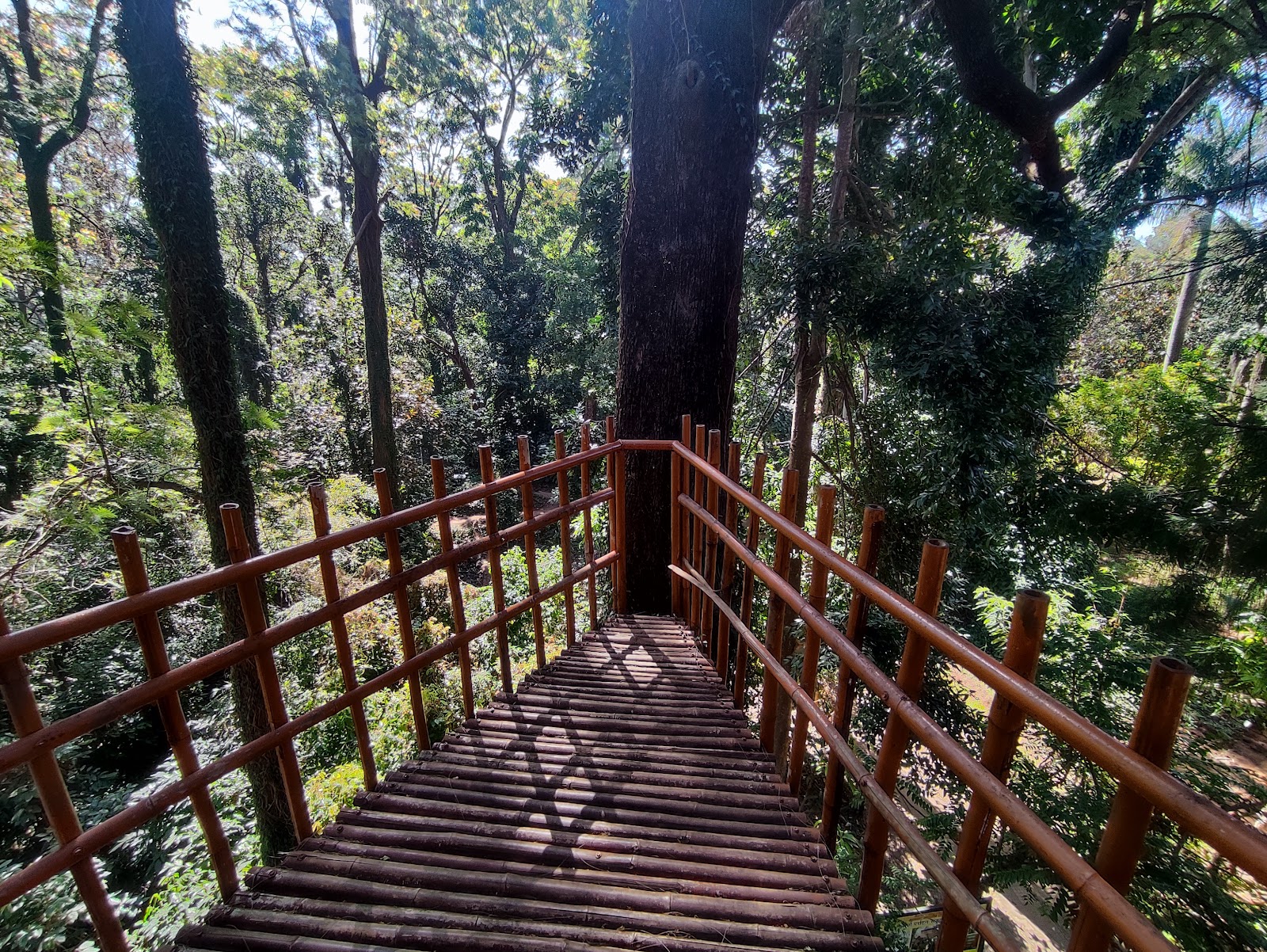 Orchid and Botanical Garden