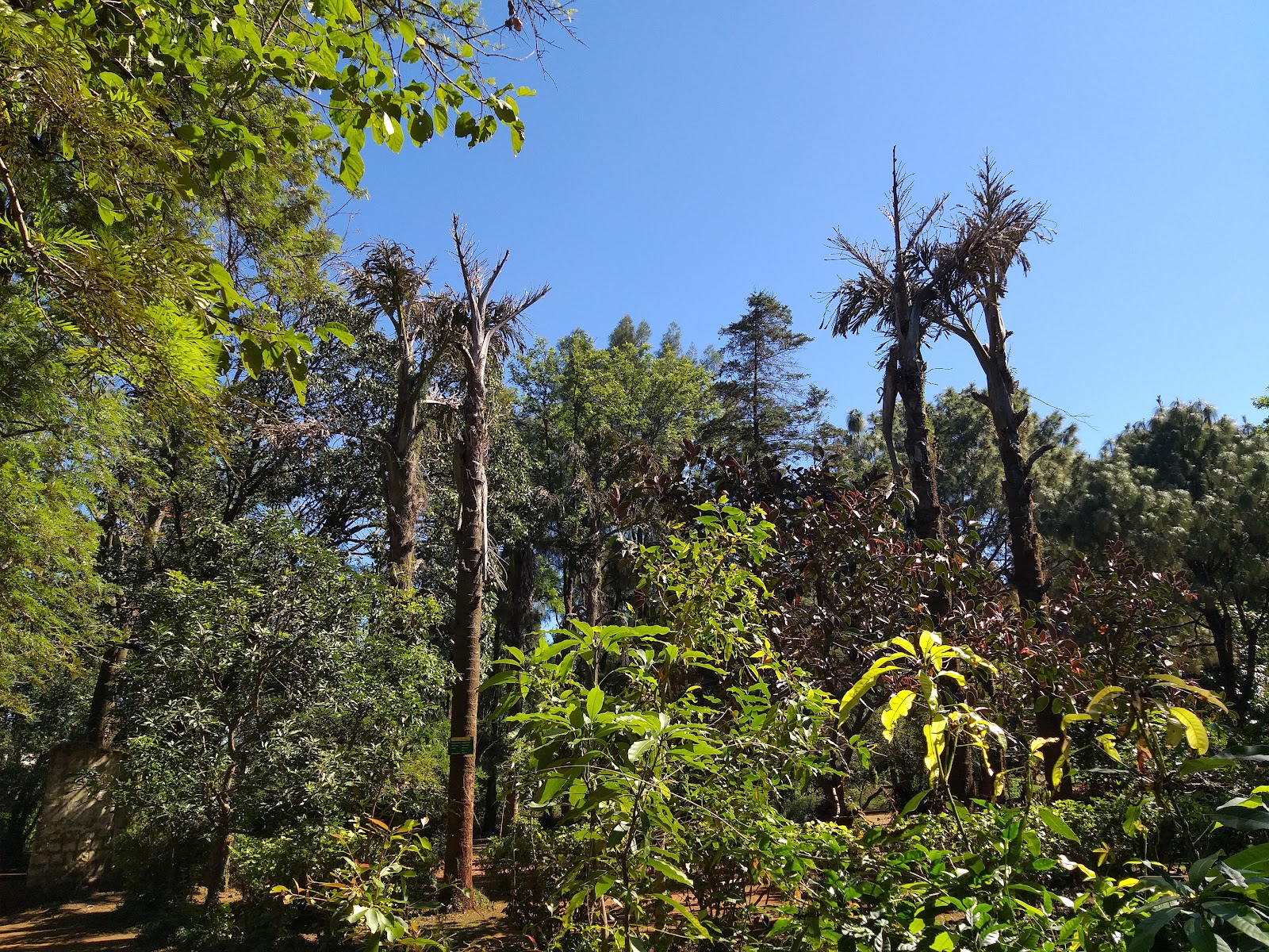 Orchid and Botanical Garden